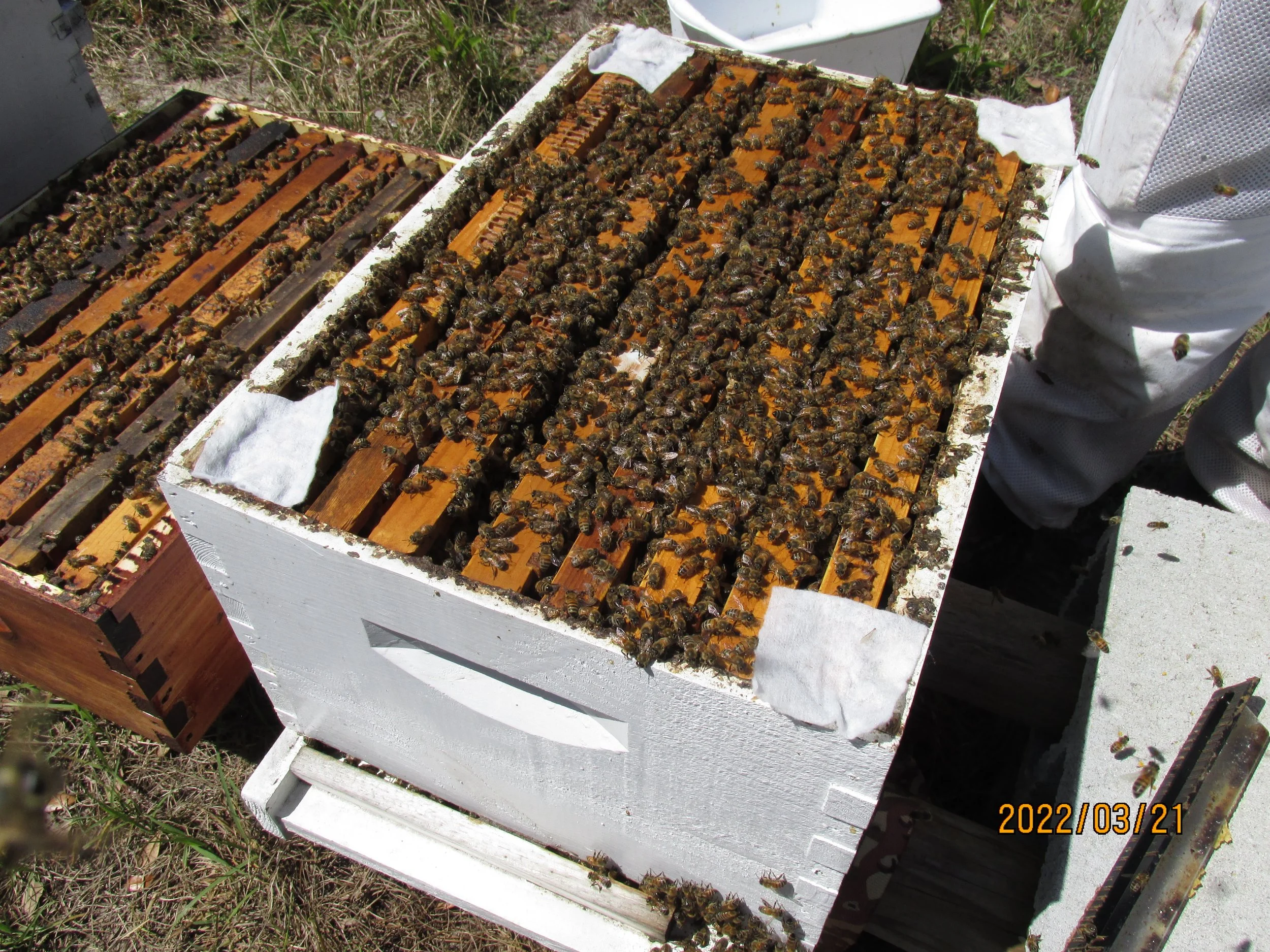 2022.03.21  (10).JPG