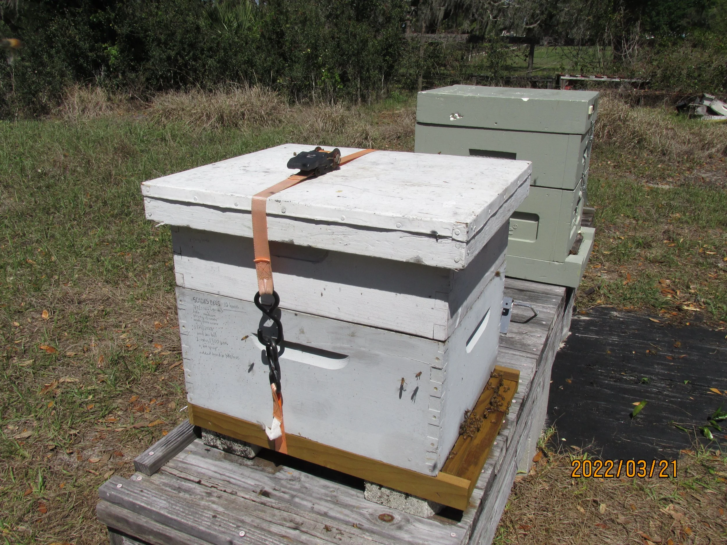 2022.03.21  (11).JPG