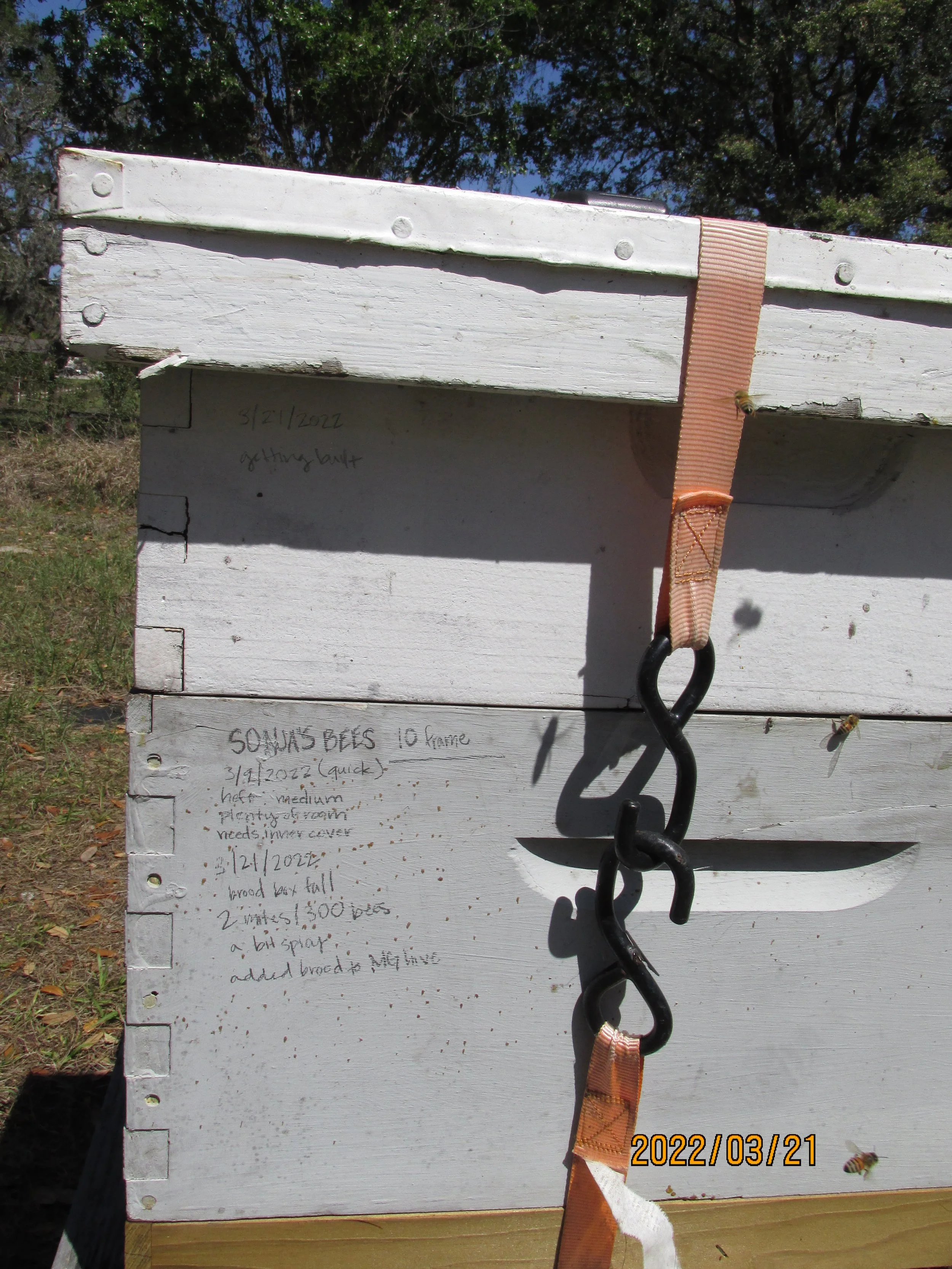 2022.03.21  (12).JPG