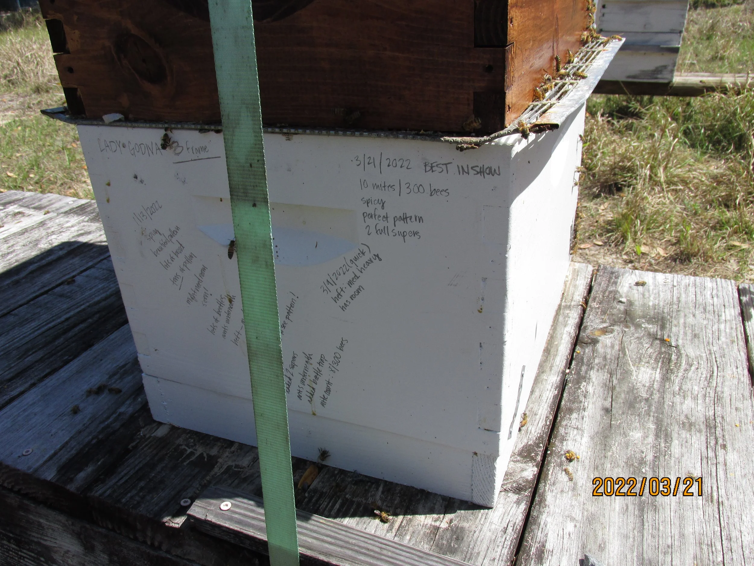 2022.03.21  (14).JPG