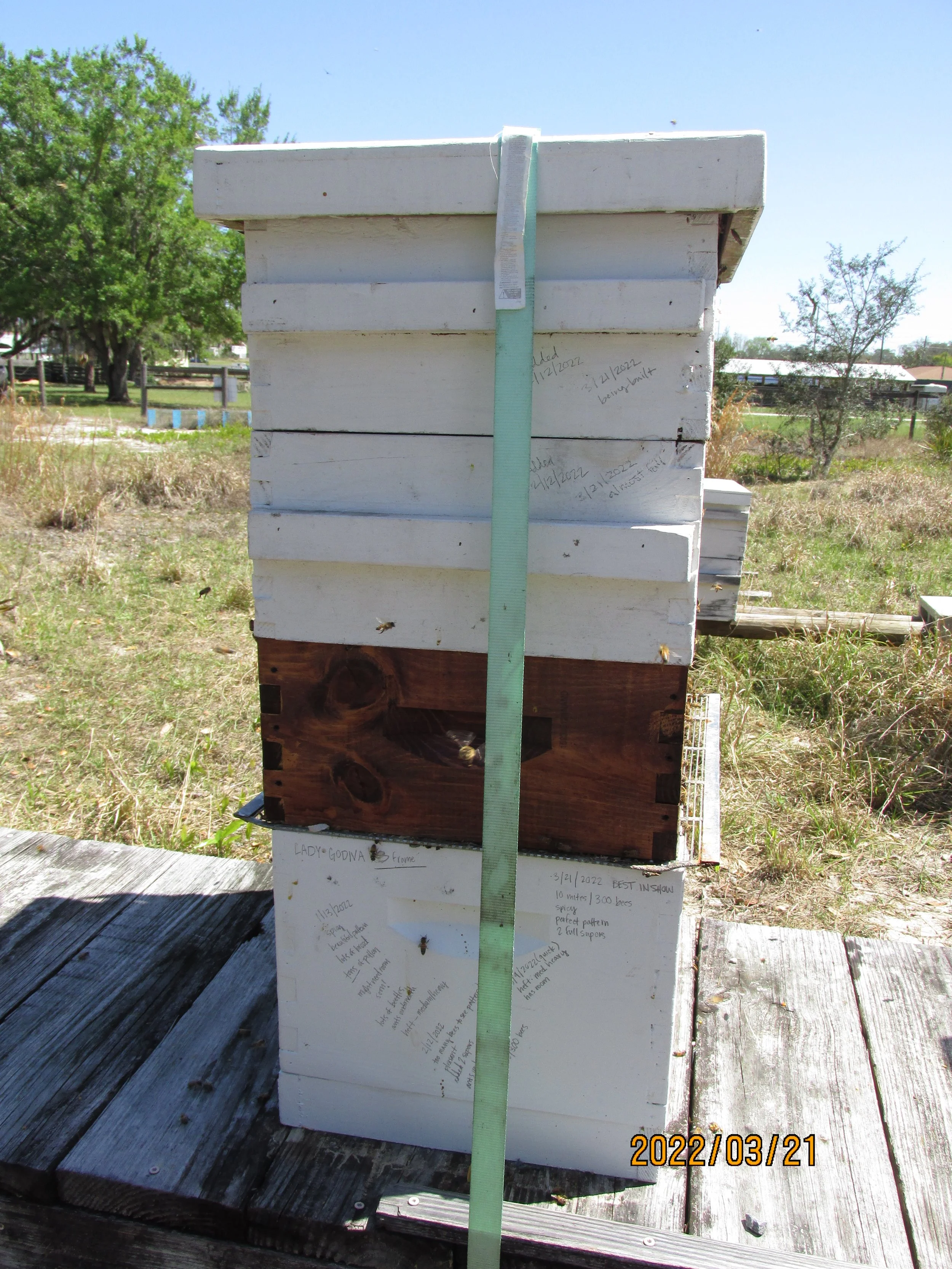 2022.03.21  (15).JPG