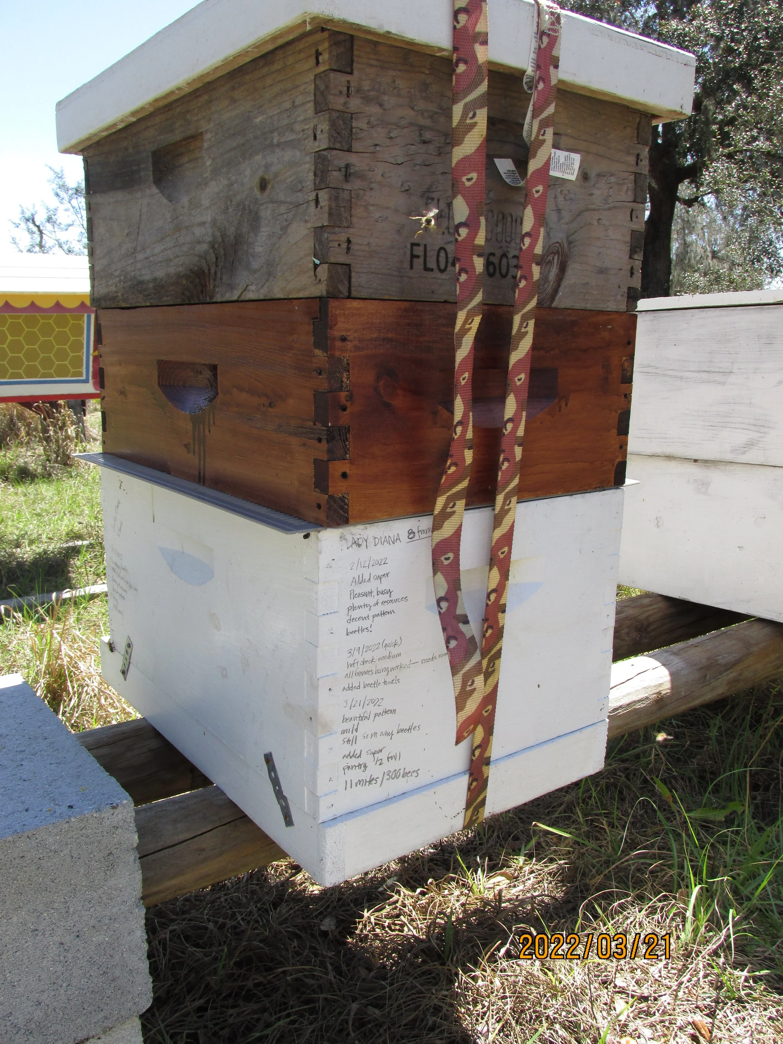 2022.03.21  (16).JPG