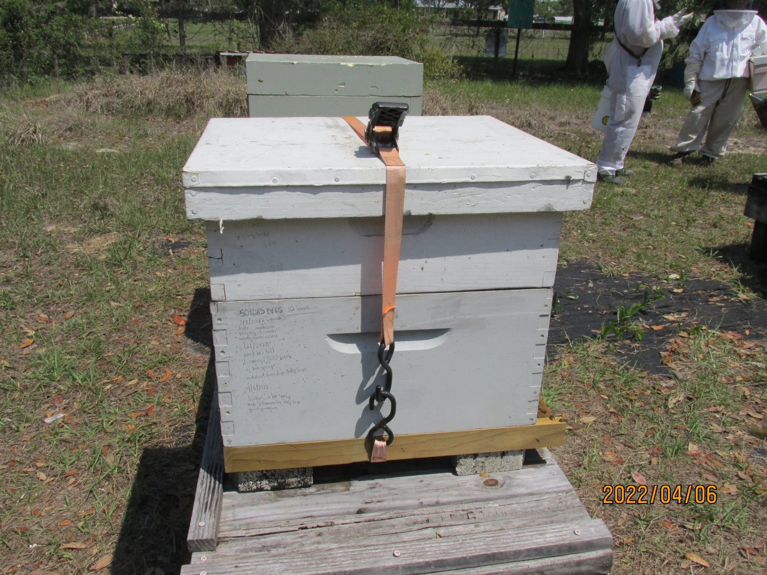 2022.04.06  (35).JPG