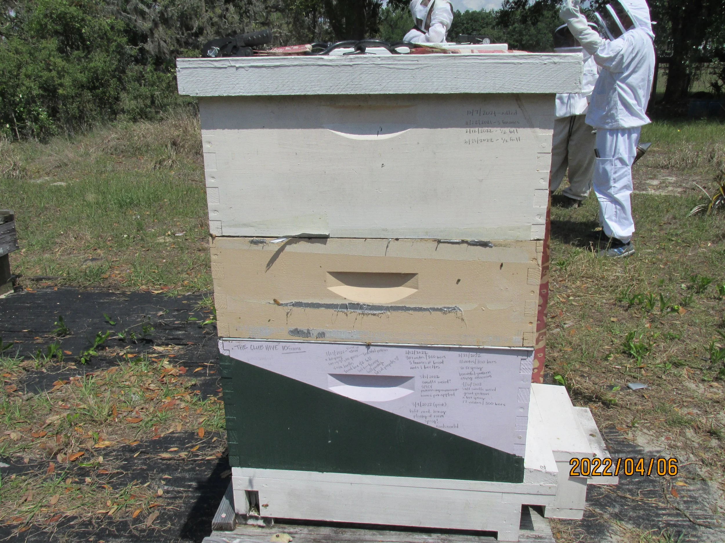 2022.04.06  (36).JPG