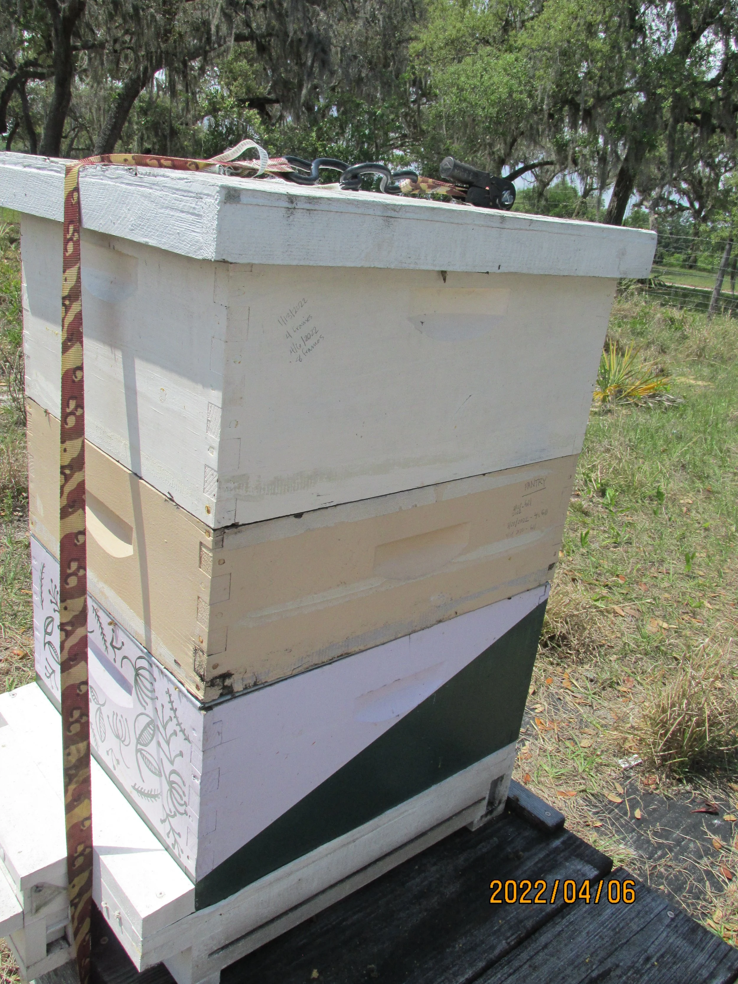 2022.04.06  (37).JPG