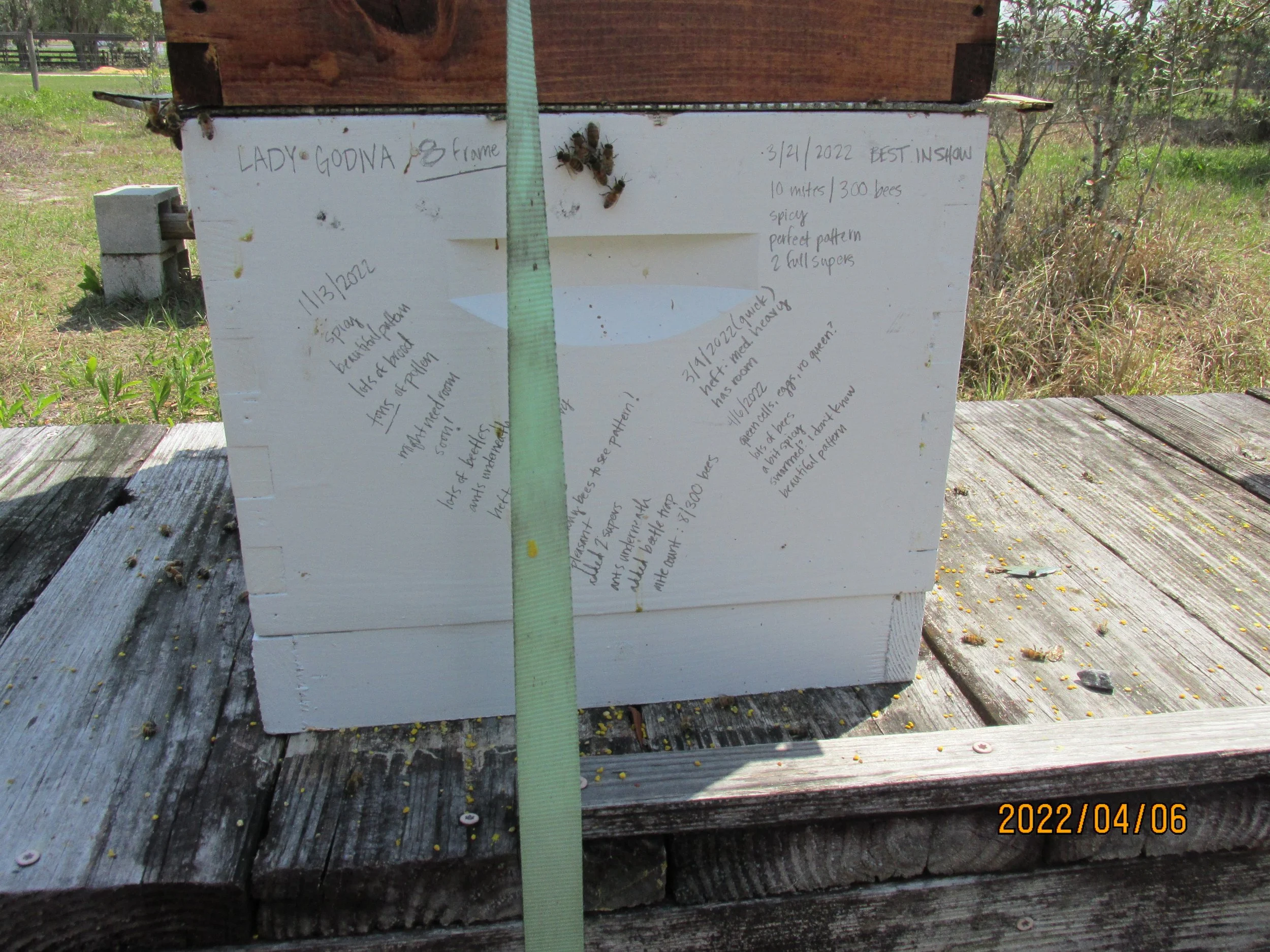 2022.04.06  (38).JPG