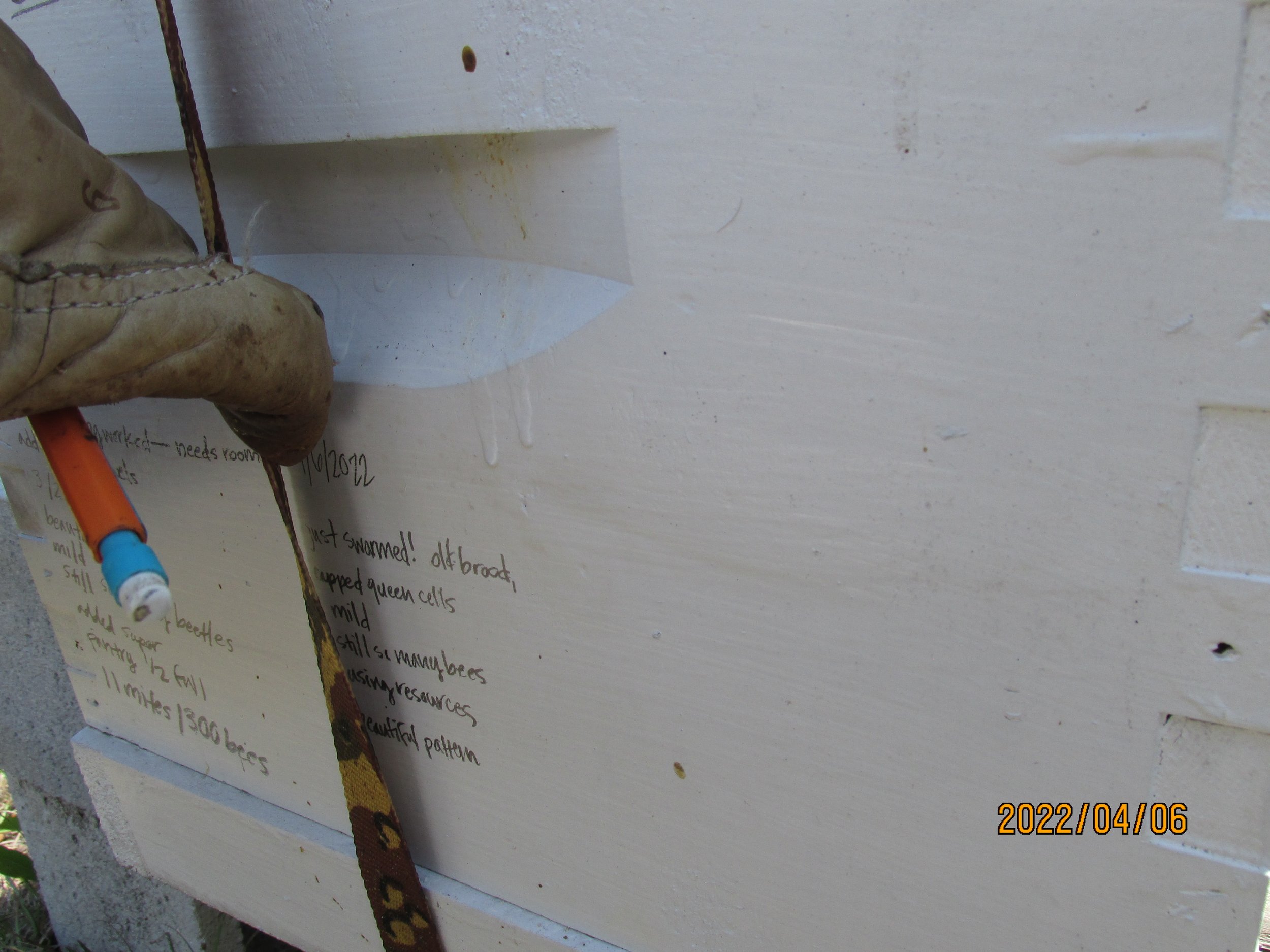 2022.04.06  (40).JPG