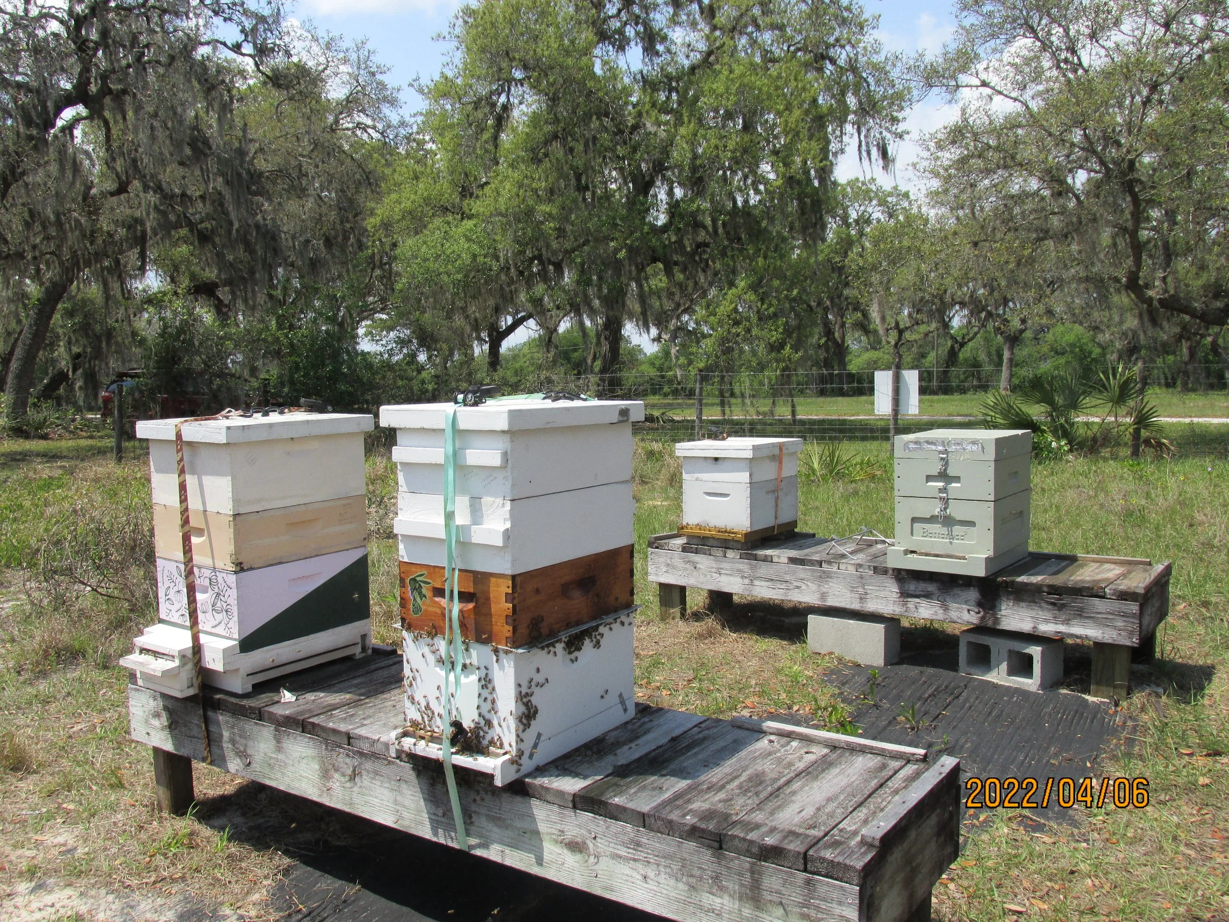 2022.04.06  (39).JPG