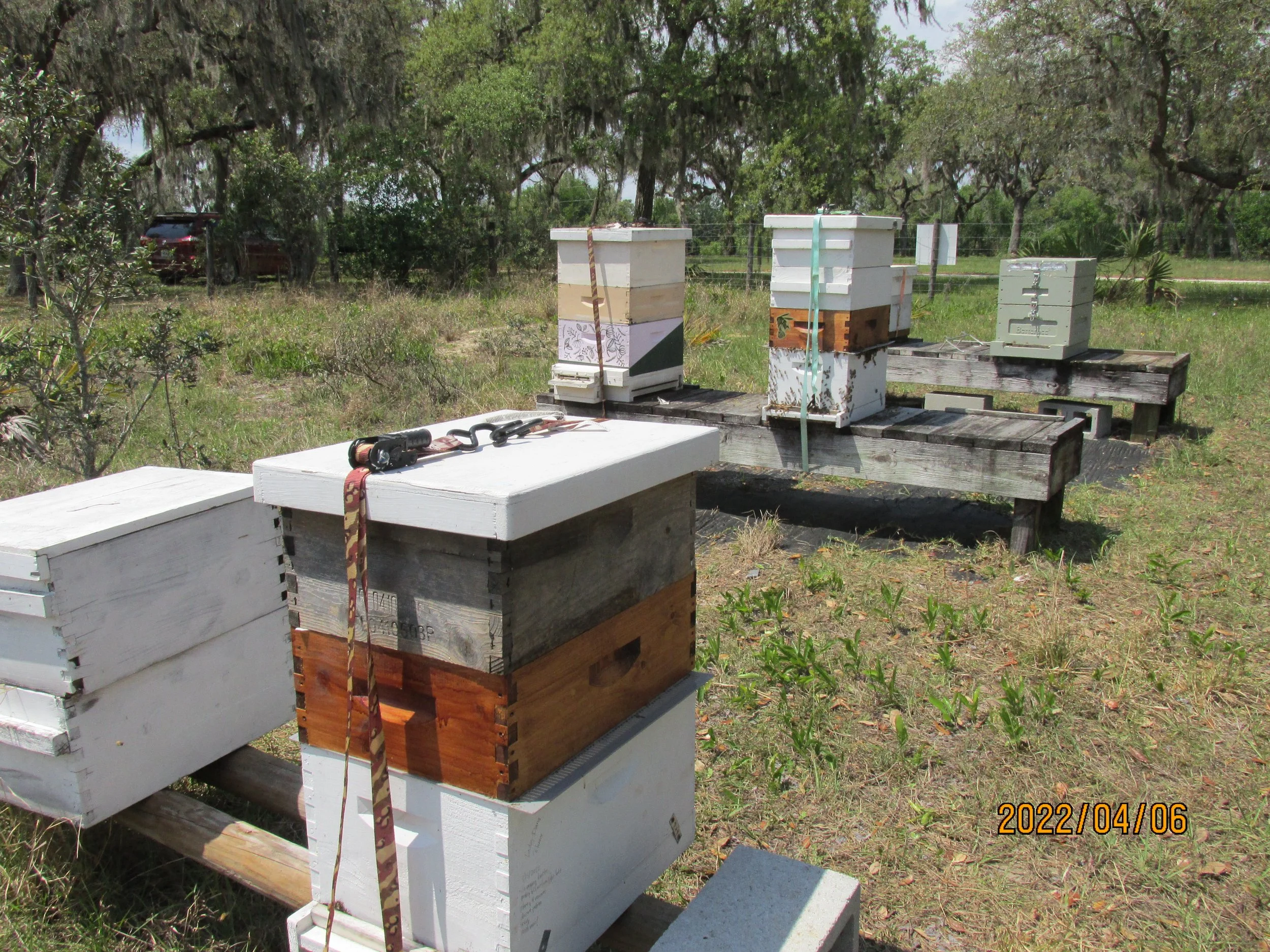 2022.04.06  (41).JPG