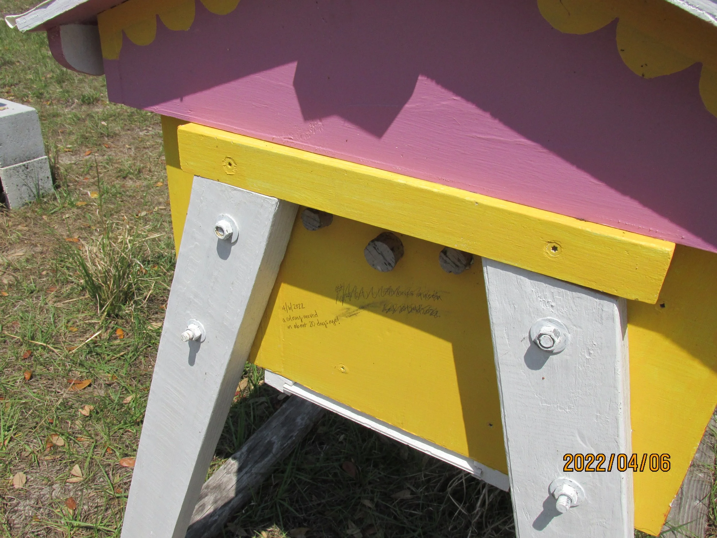 2022.04.06  (43).JPG