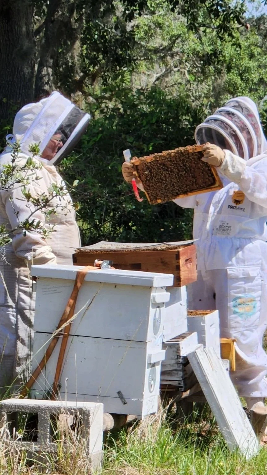 Meeting Minutes Heartland Beekeepers Association of Highlands County, Florida — Heartland
