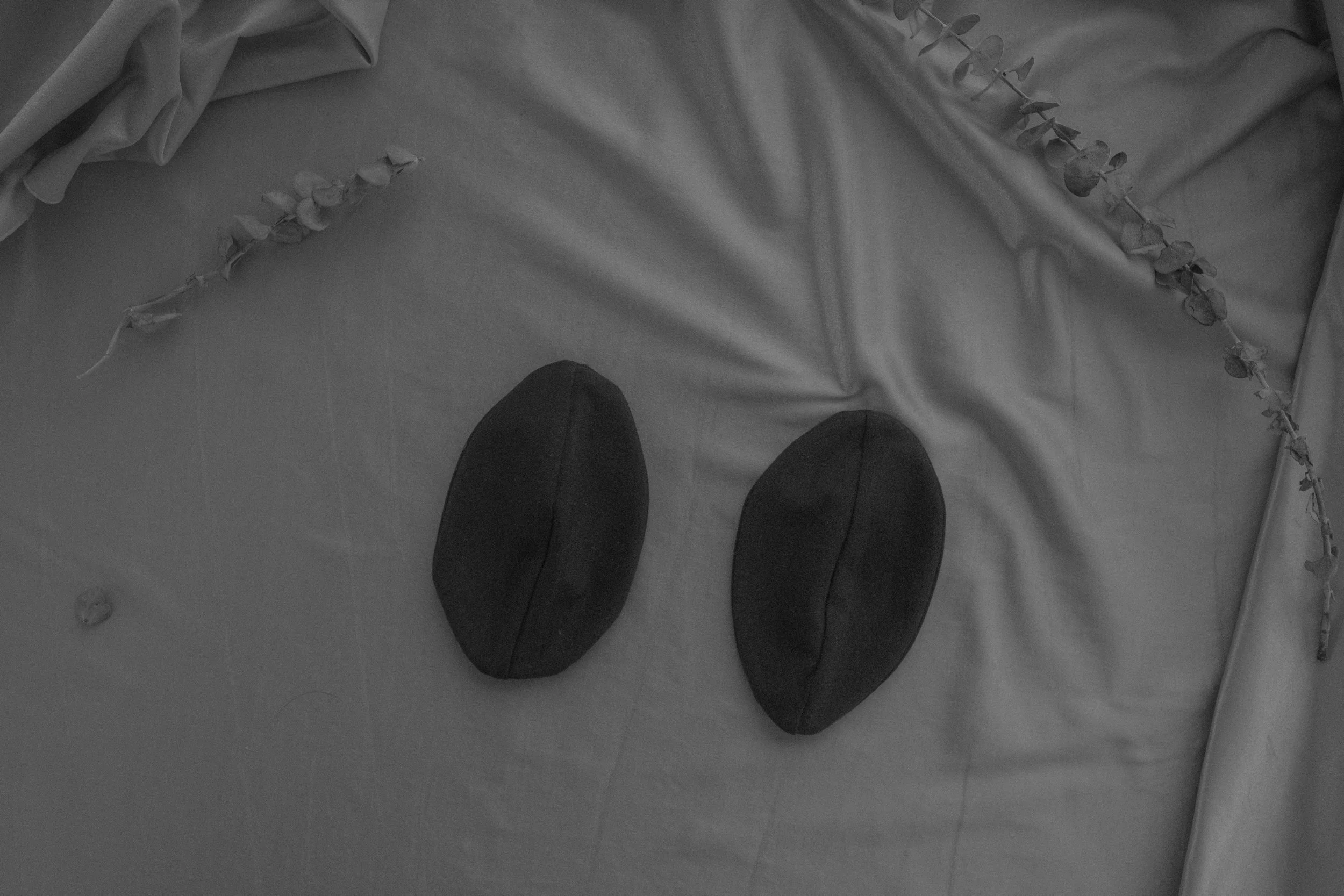 The Nipple Pads