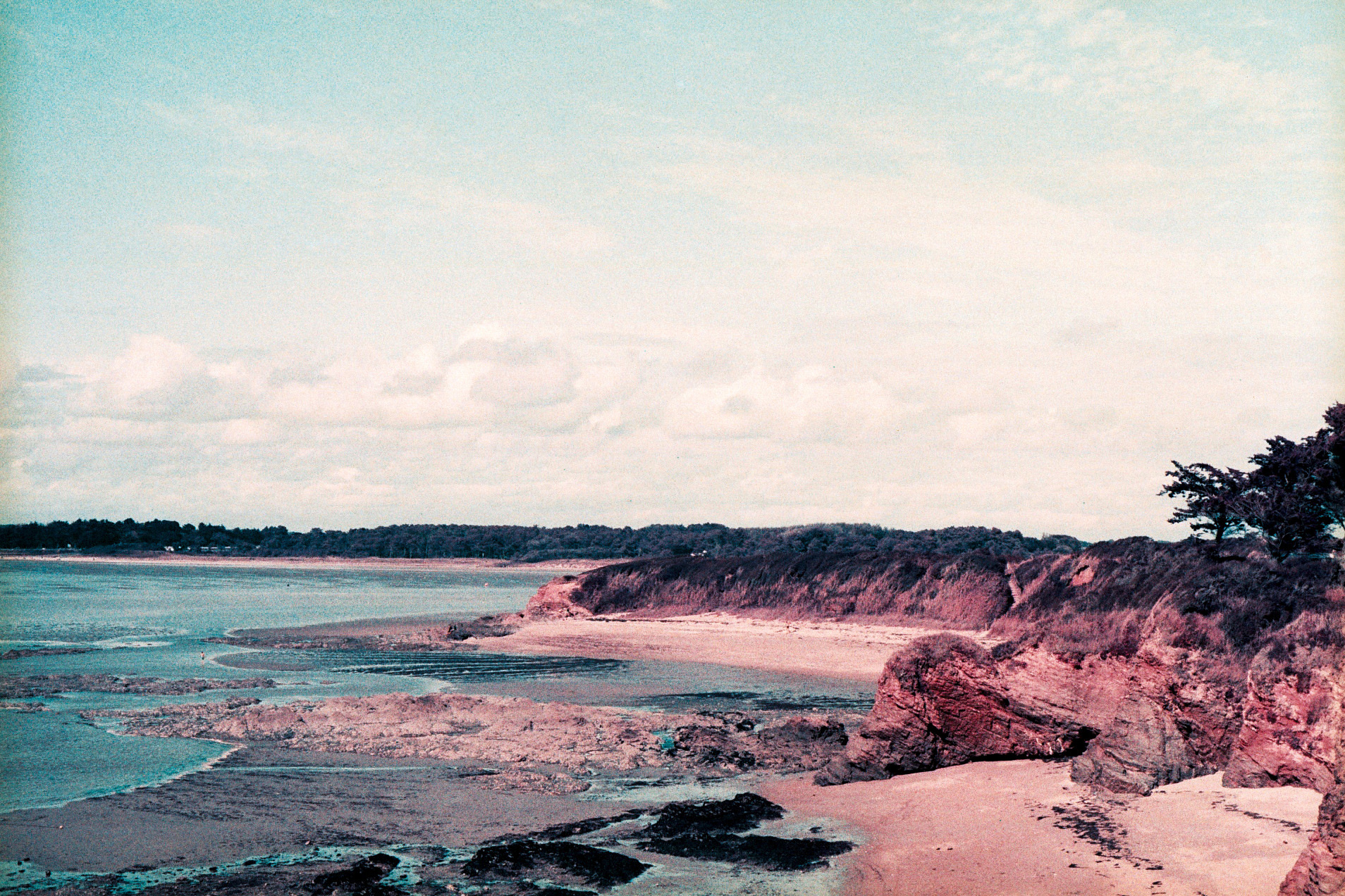 2014 - Bretagne - Camera Olympus OM10 Lens Zuiko 50mm f/1.8 Film Lomochrome Purple XR 100-400
