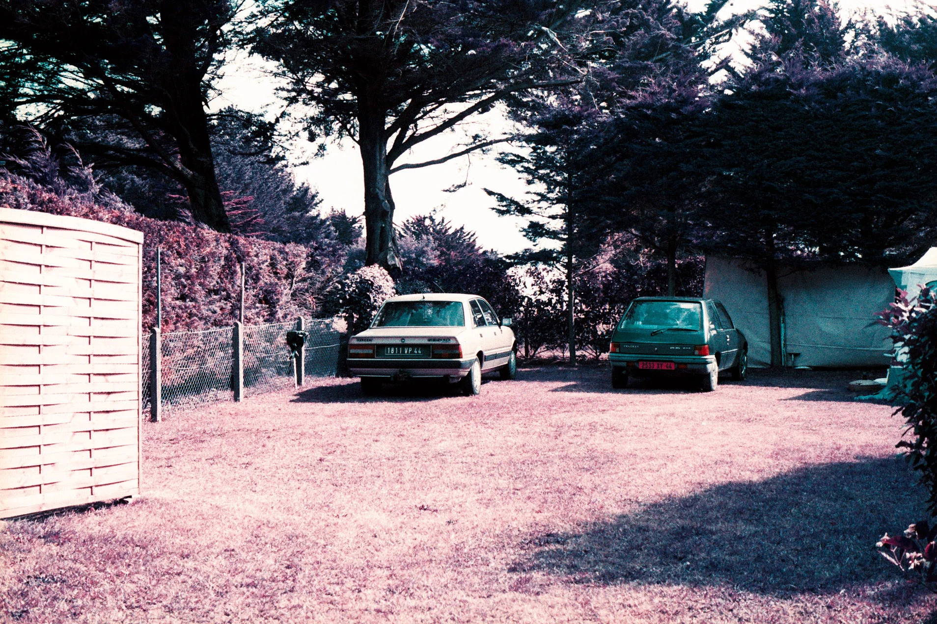 2014 - Bretagne - Camera Olympus OM10 Lens Zuiko 50mm f/1.8 Film Lomochrome Purple XR 100-400