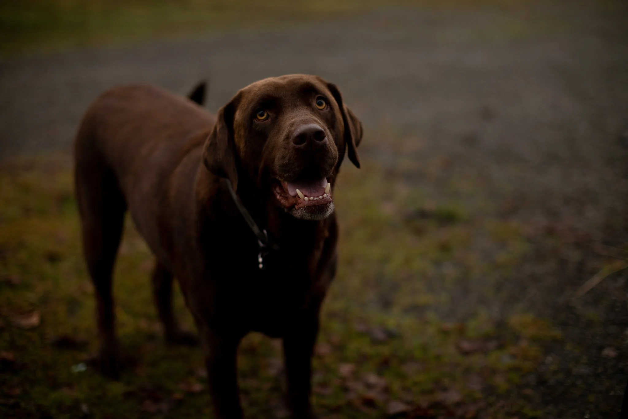 Riley & Riggs (6 of 31)-27.jpg