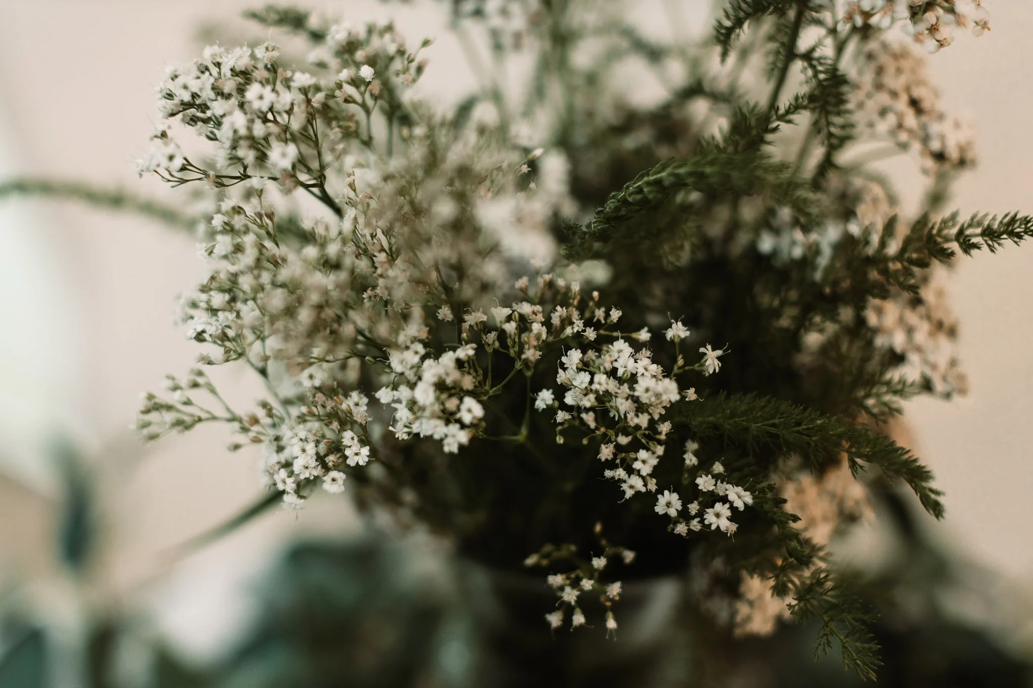 untitled (88 of 121).jpg