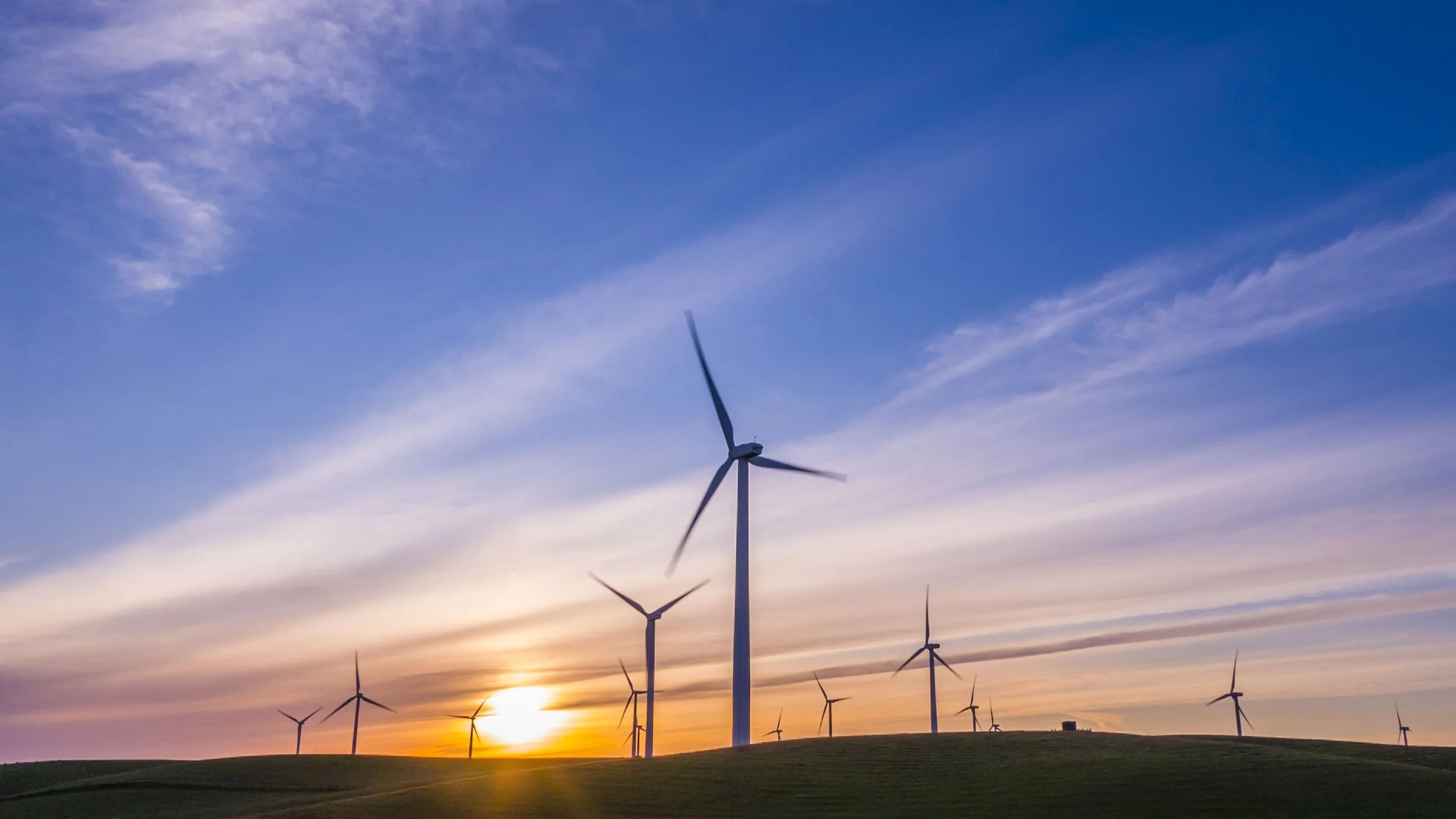 Green Jobs Continue to Explode