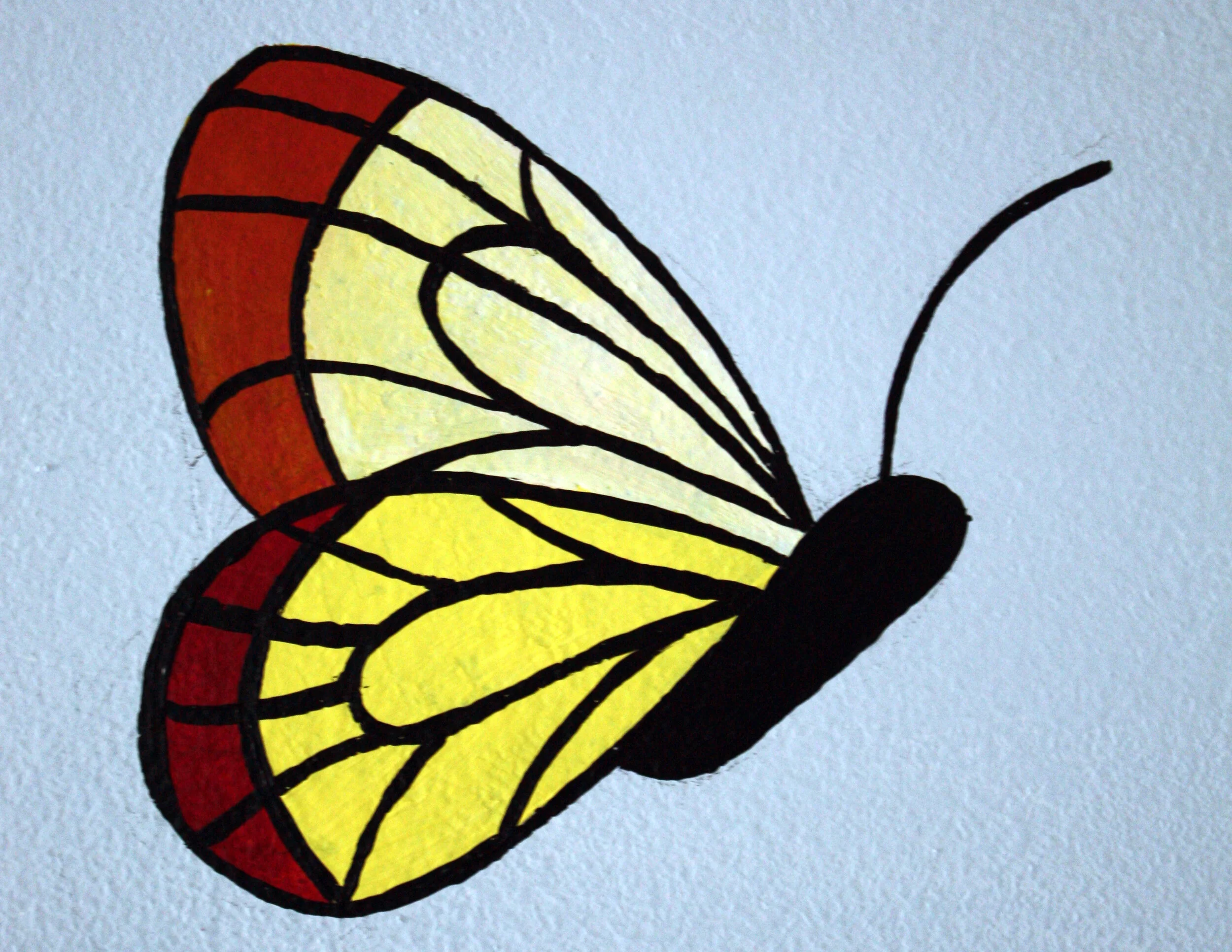 butterfly.jpg