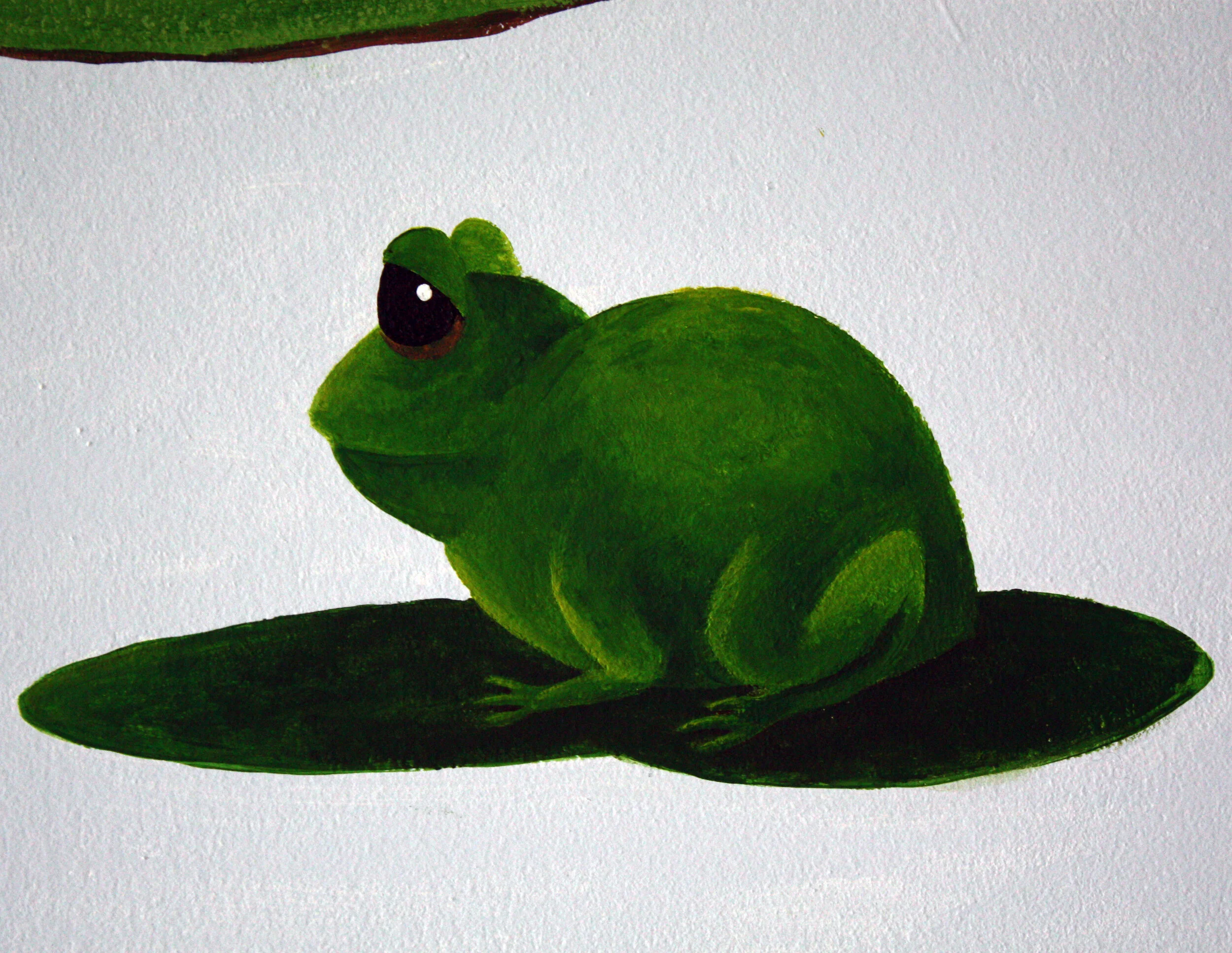 frog.jpg