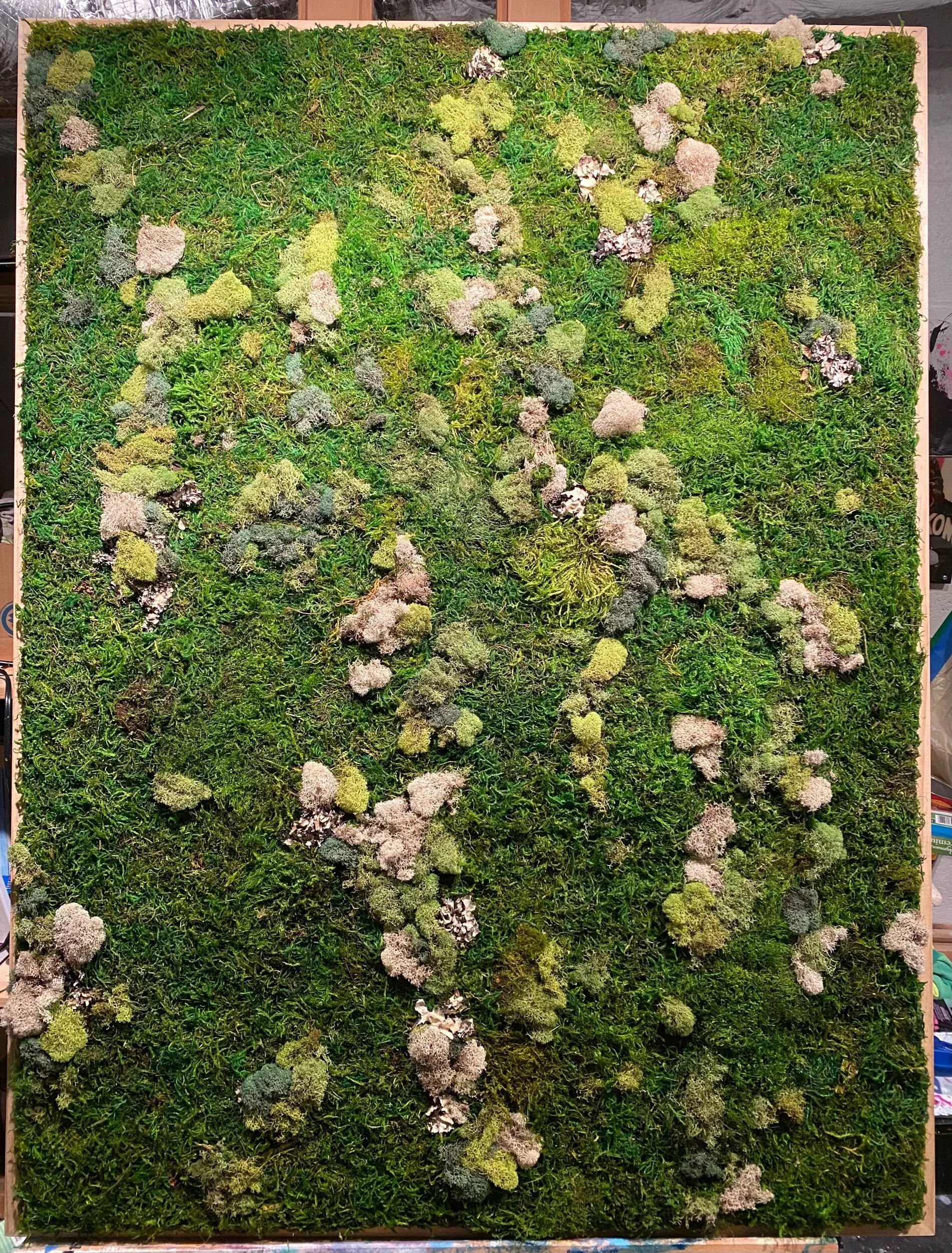 Moss “painting” 2