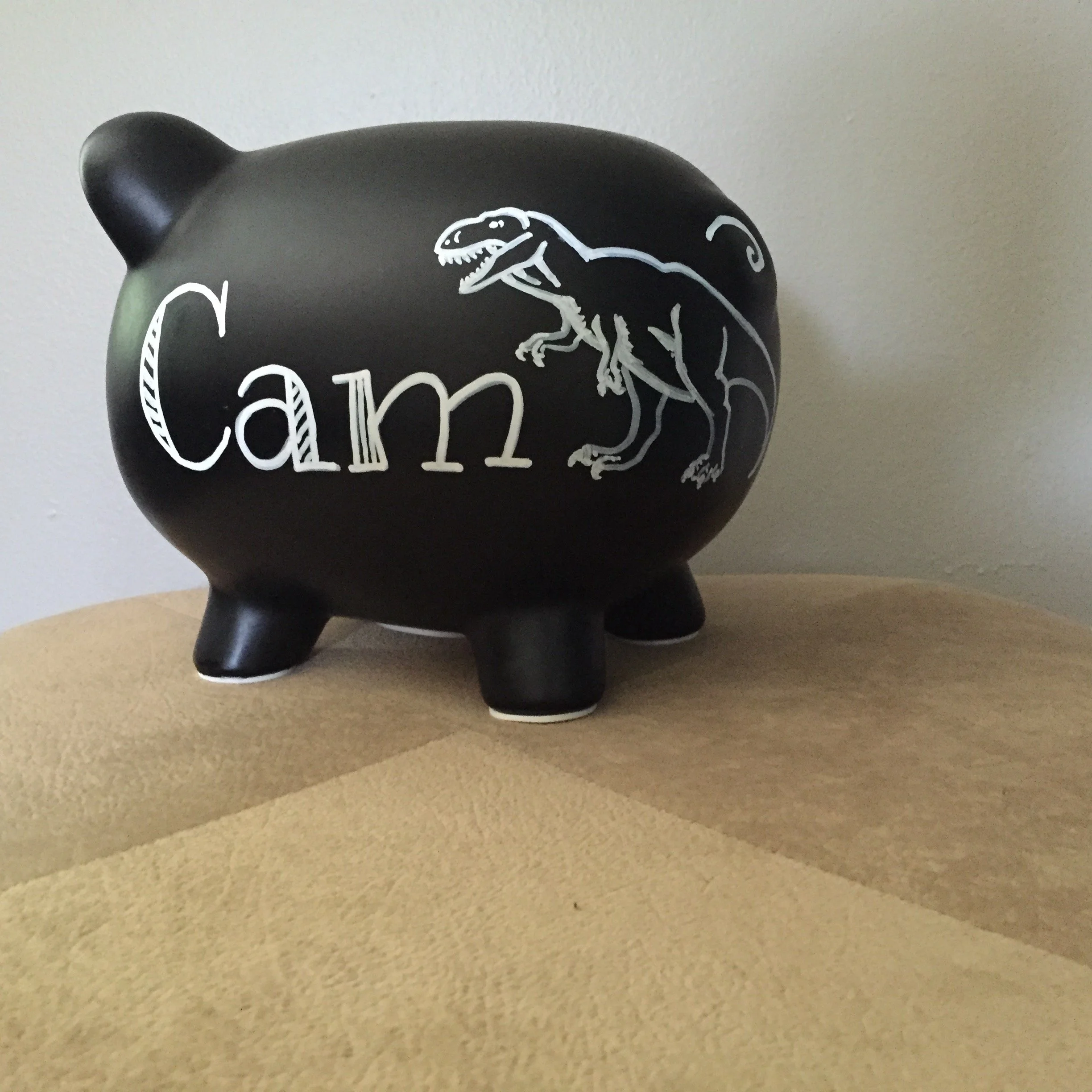 Cam1.jpg