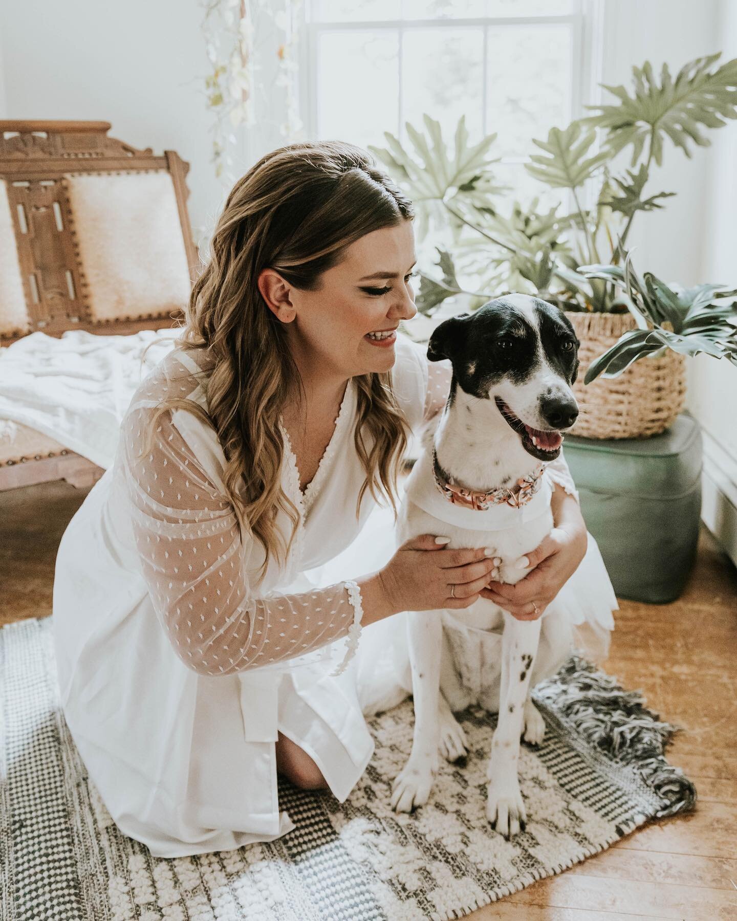 If you&rsquo;re thinking of making your pup your flower girl&hellip;the answer is OBVIOUSLY YES 🤩🐶🌸💛 What could be cuter?! and her name is Tofu by the way 🥹 Also, here&rsquo;s a little glimpse into the getting ready photos of the most STUNNING B