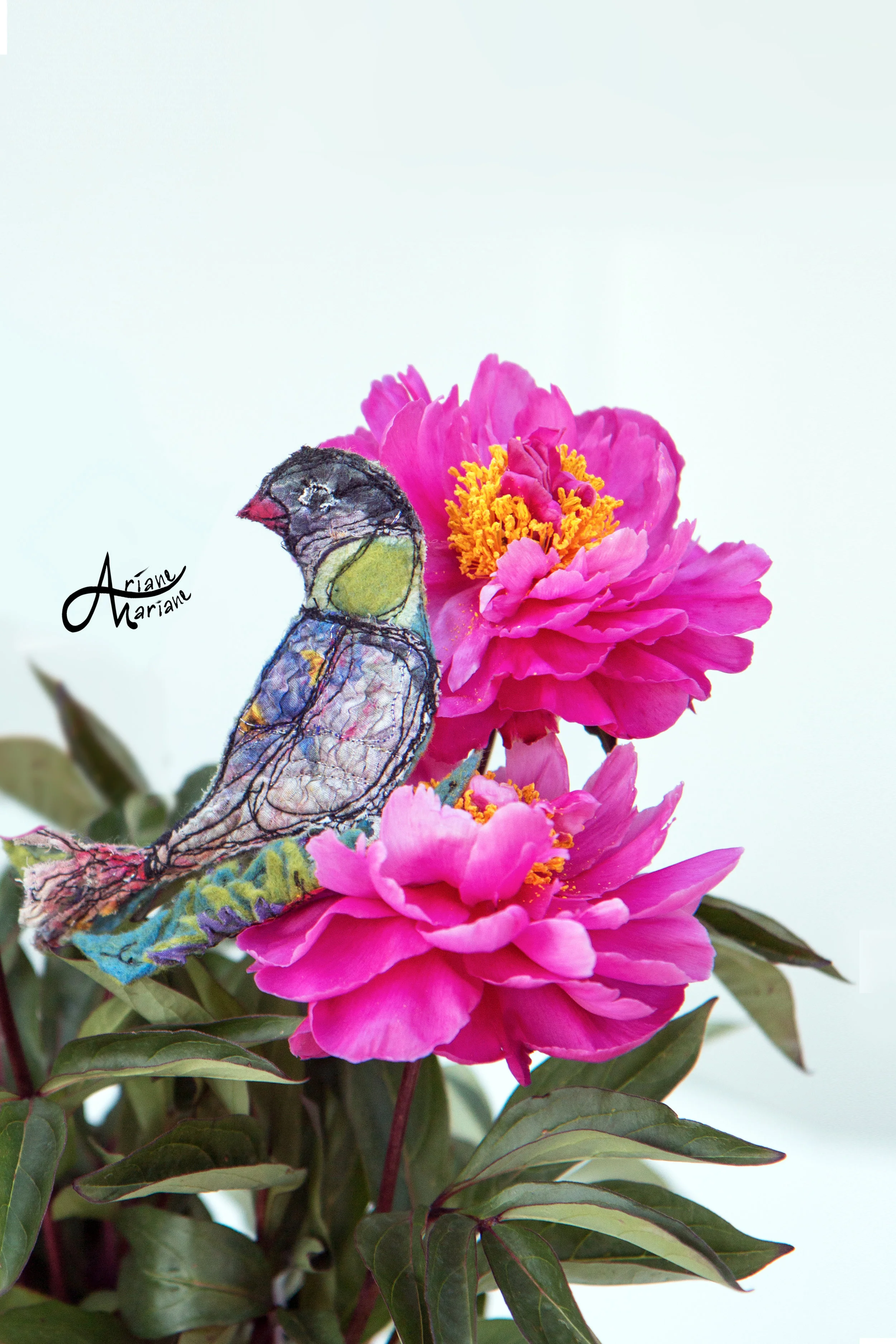 felt-brooch-bird-8983.jpg
