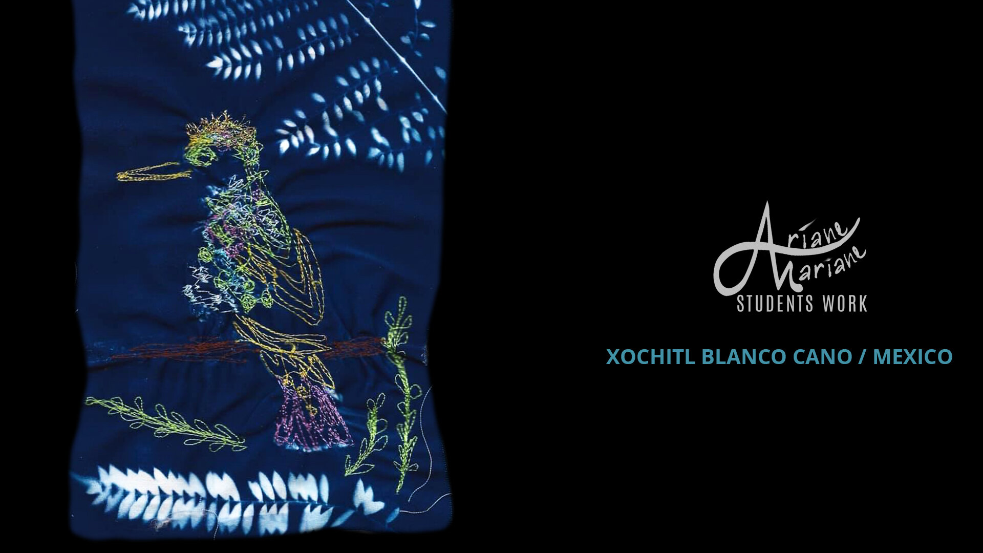 Mixed-Media-textile-art-students-work-Xochitl Blanco Cano-felt-embroidred-cyanotype.jpg