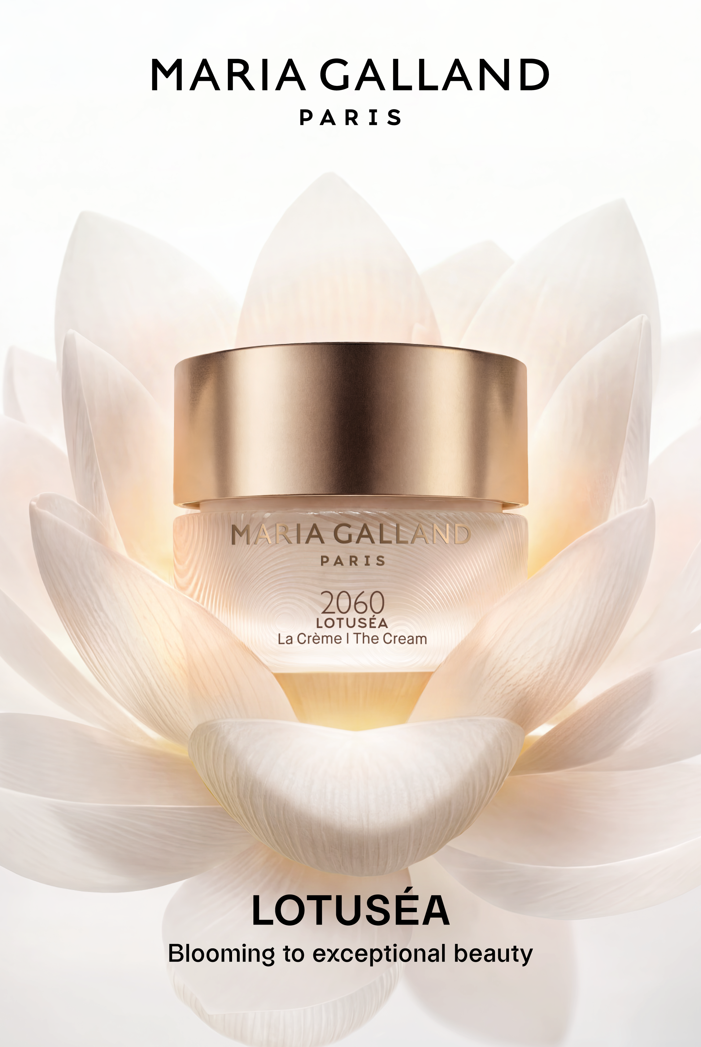 MGP_LOTUSEA_KV_PACK_800x1200mm.png