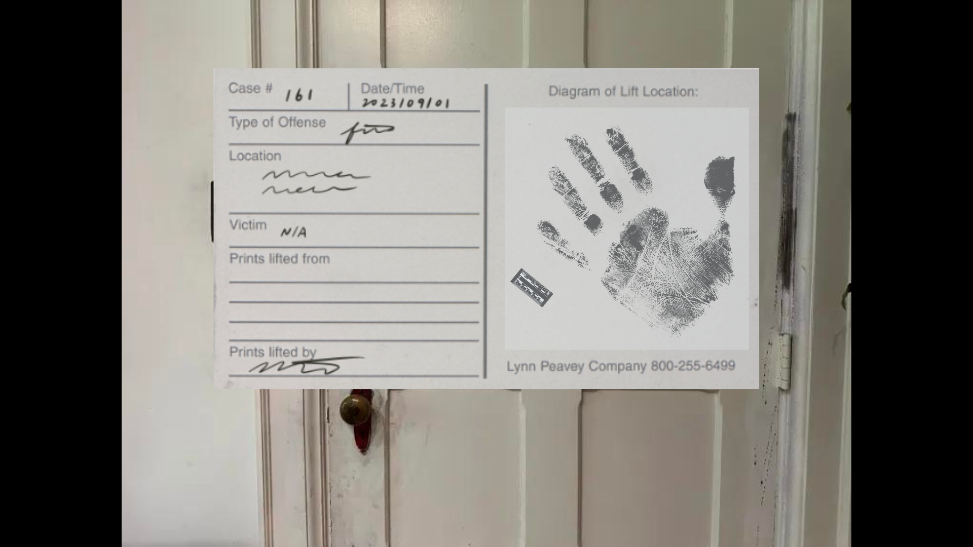 handprint backing.png