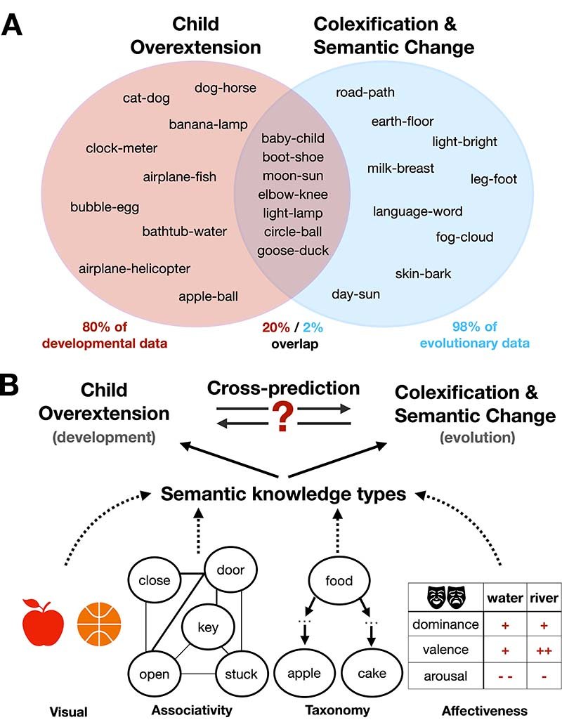 Researchers find ‘unified foundation’ of word meaning in child language ...