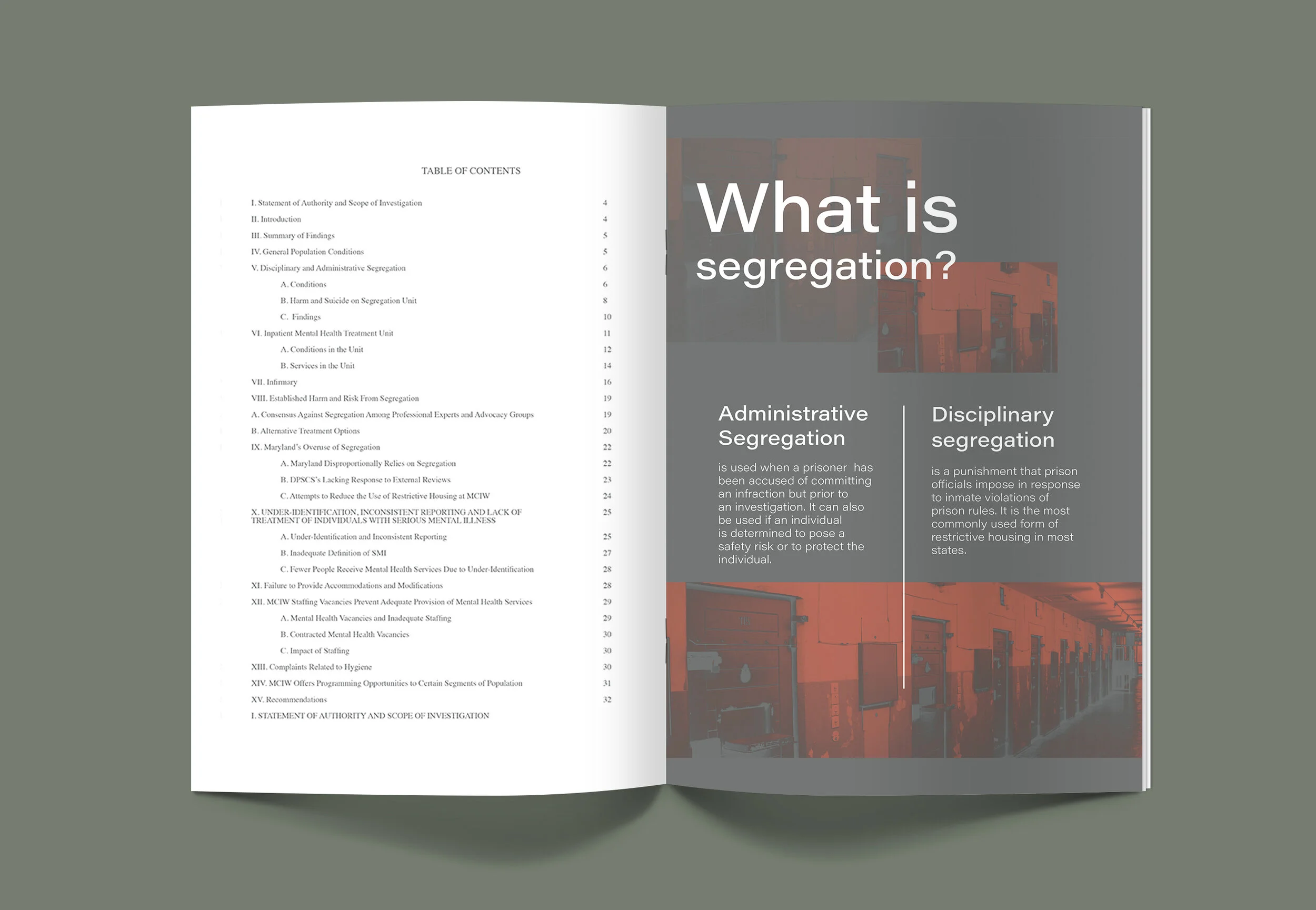 MCIW Final Magazine 1-Mockup.jpg