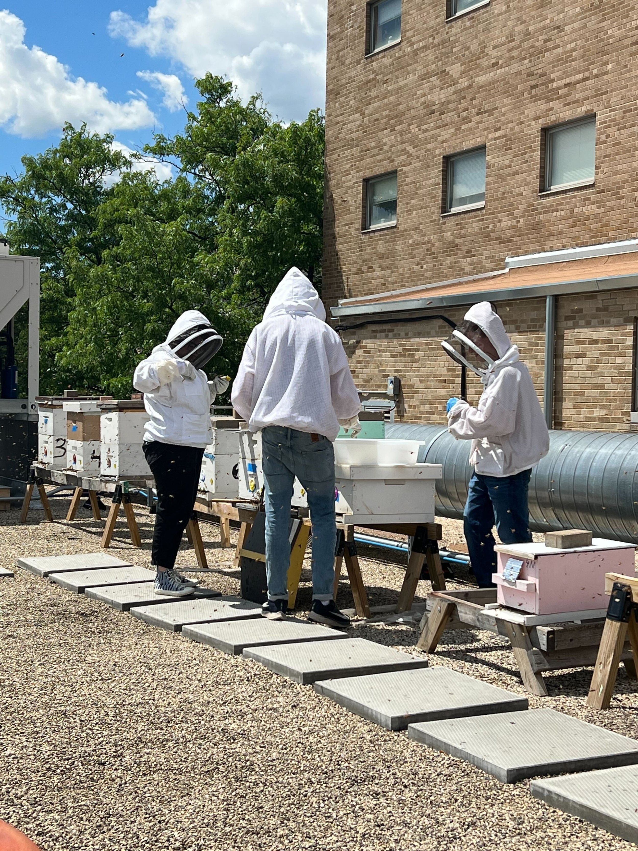 Join the Team — The Cook Lab