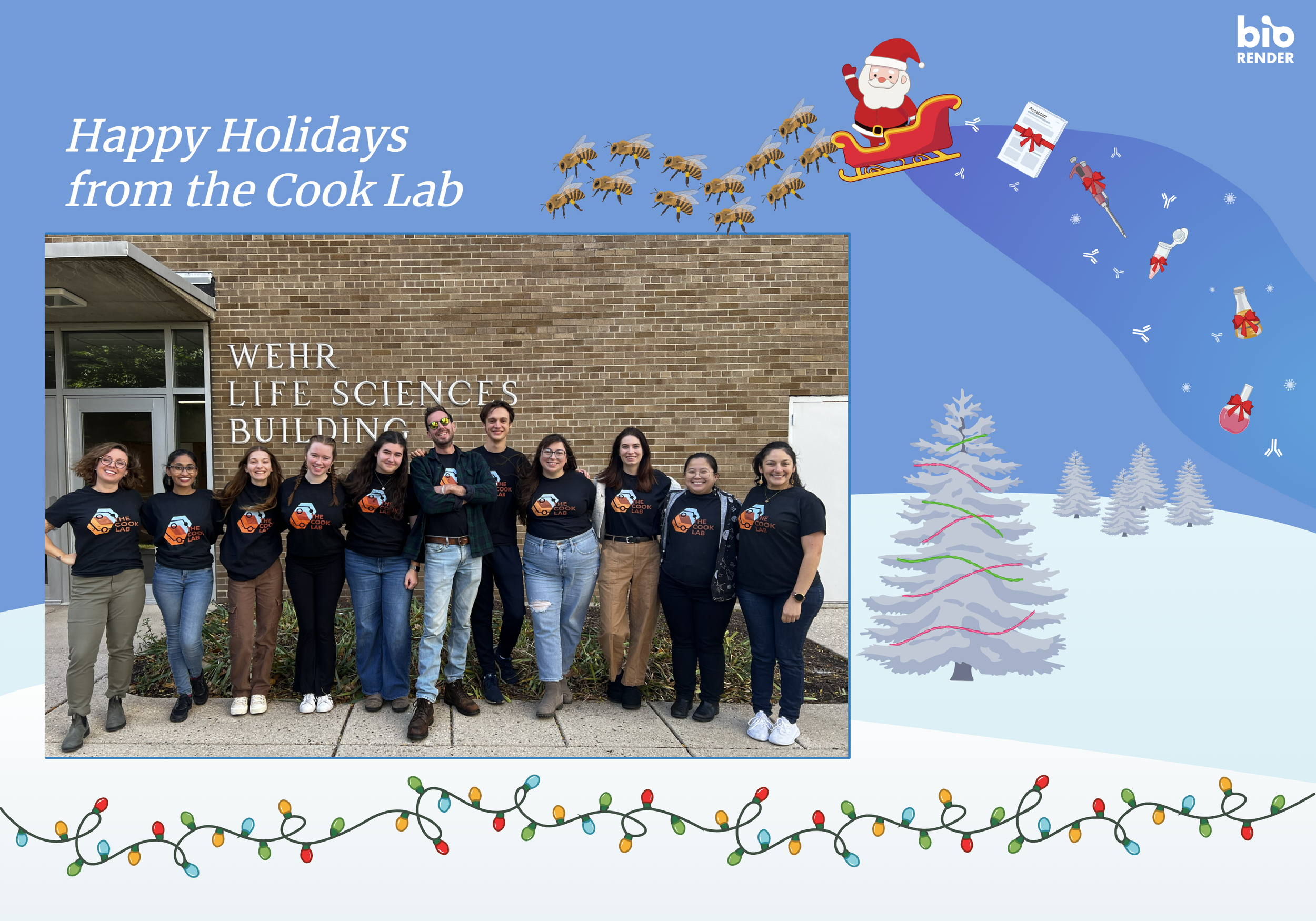 Happy holidays from the Cook Lab!