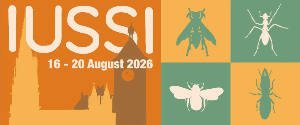 Dr. Cook co-organizes symposium International Congress of IUSSI, students participate