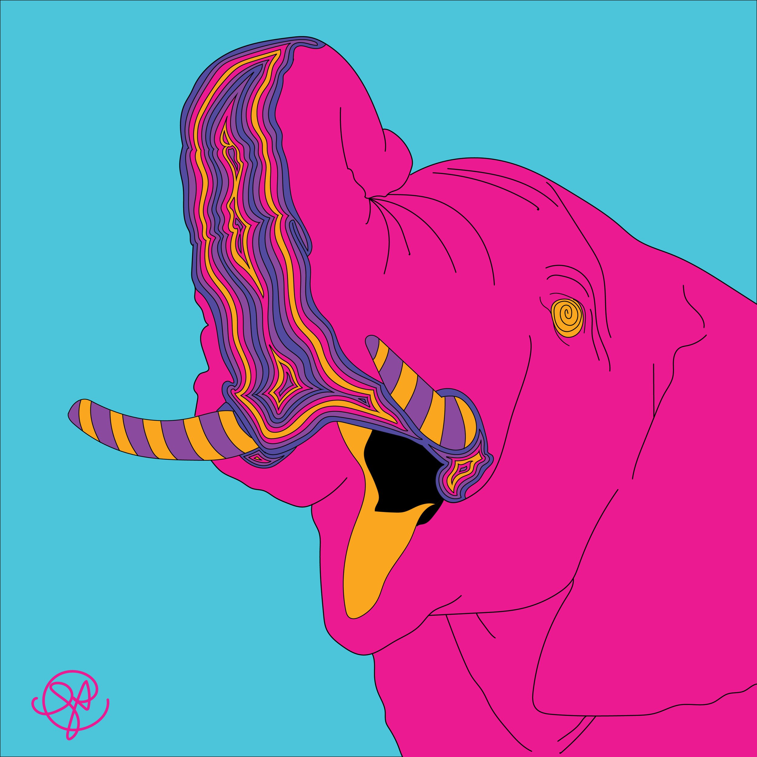 elephant.jpg