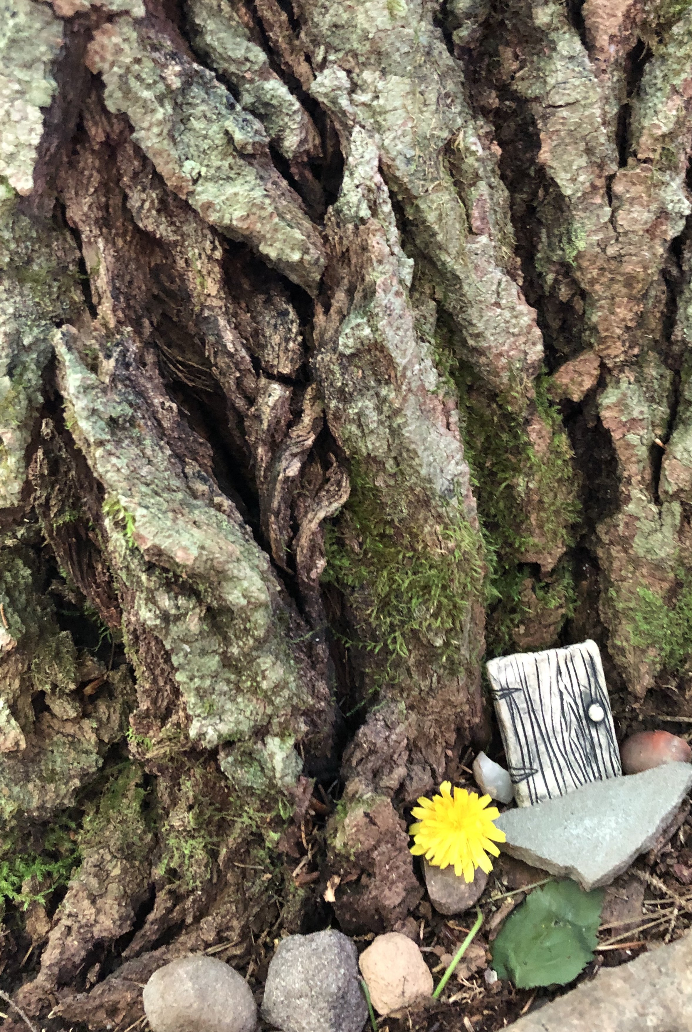 FairyHouseDoor2.jpeg