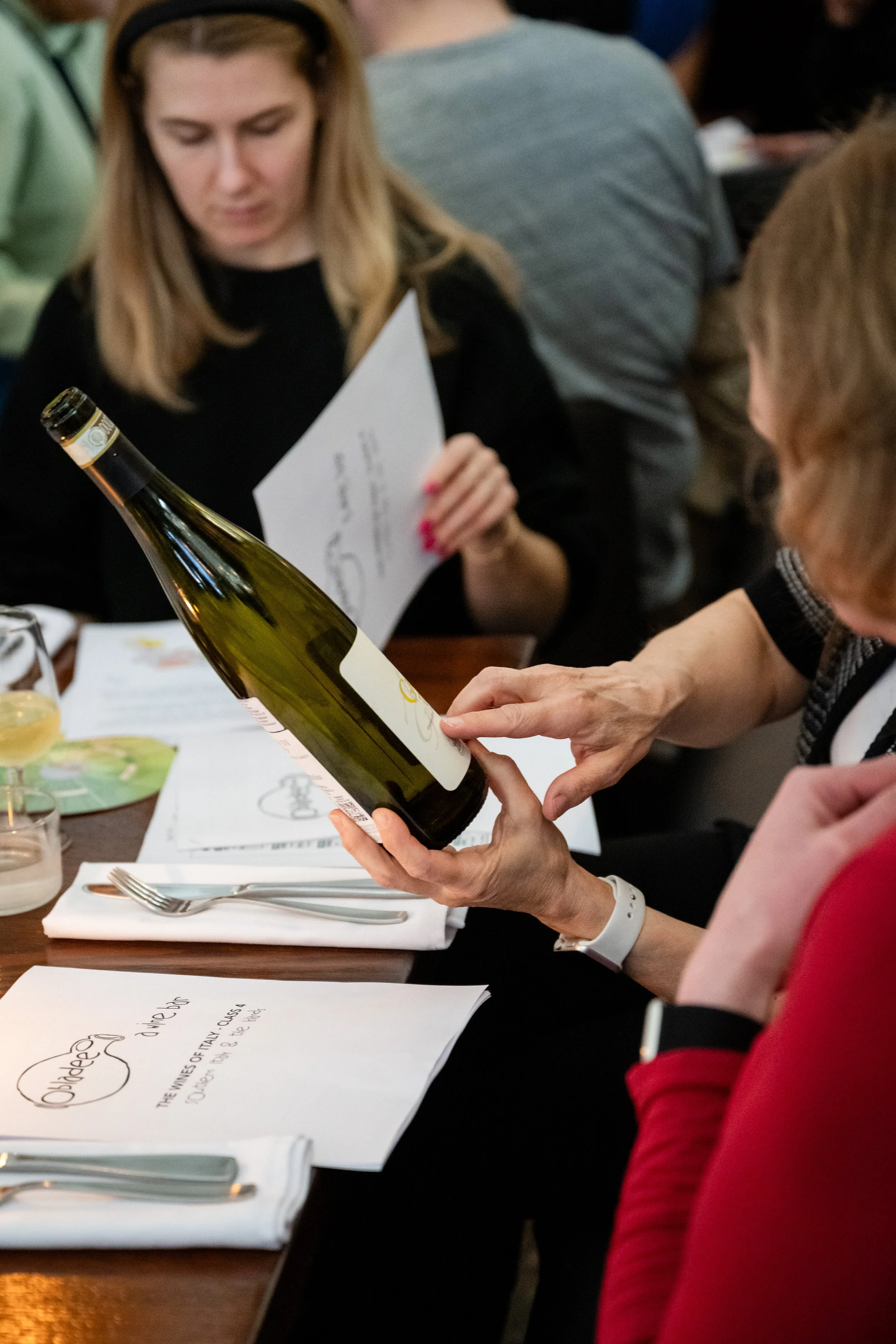 The Wines of France: Burgundy &amp; The Beaujolais