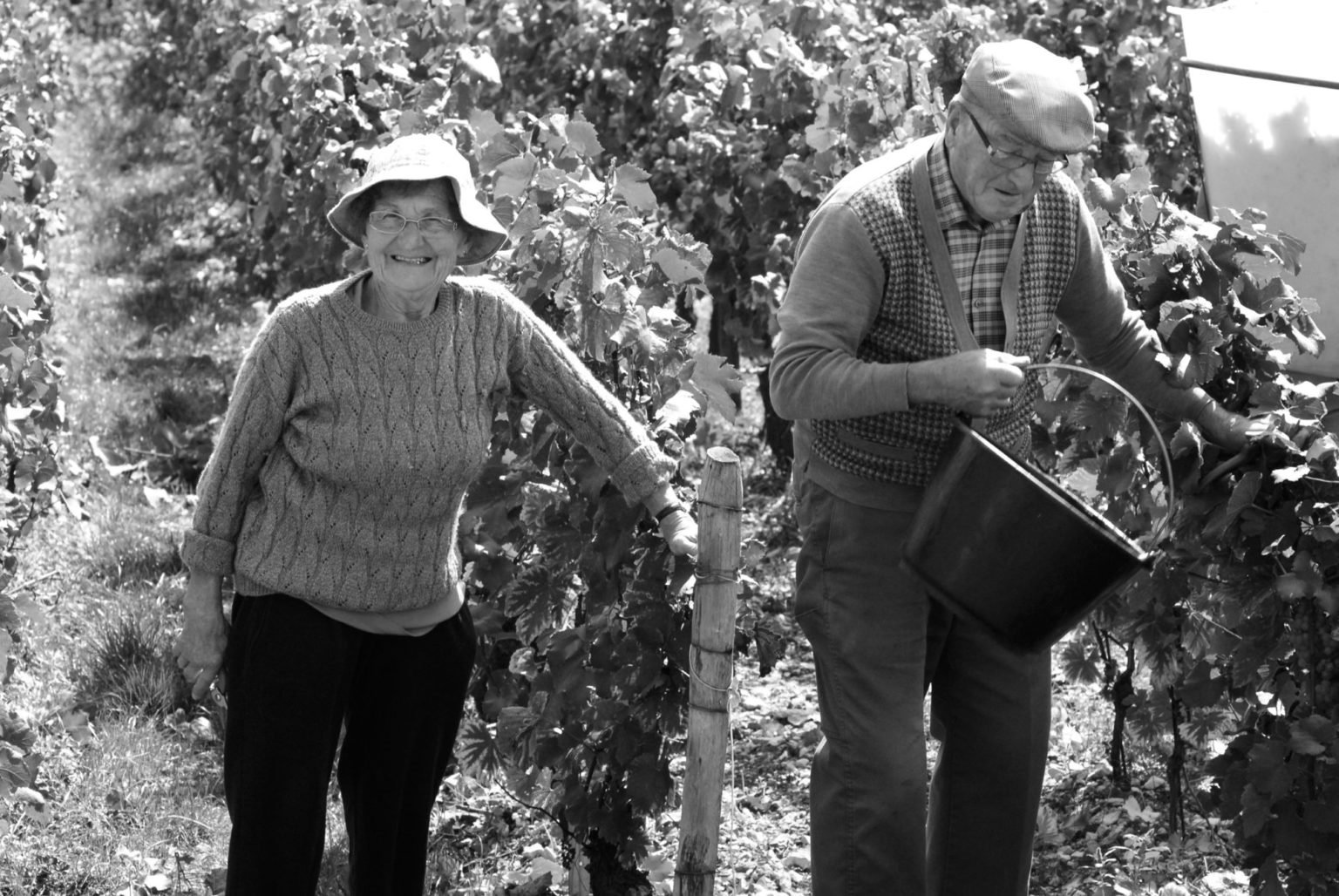 A Burgundy Tasting With Deux Roches