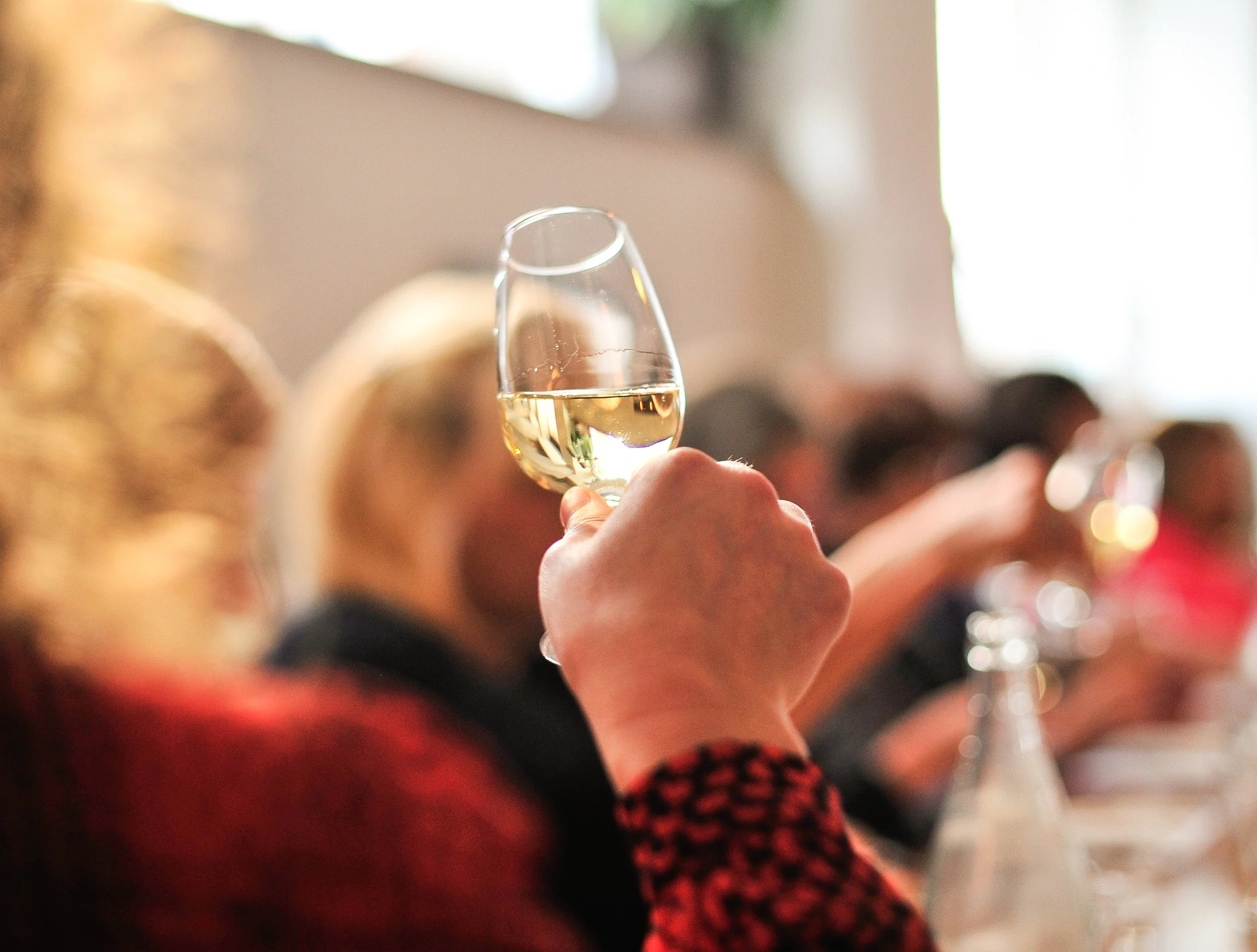 intro to wine 2024 — Obladee Wine Bar