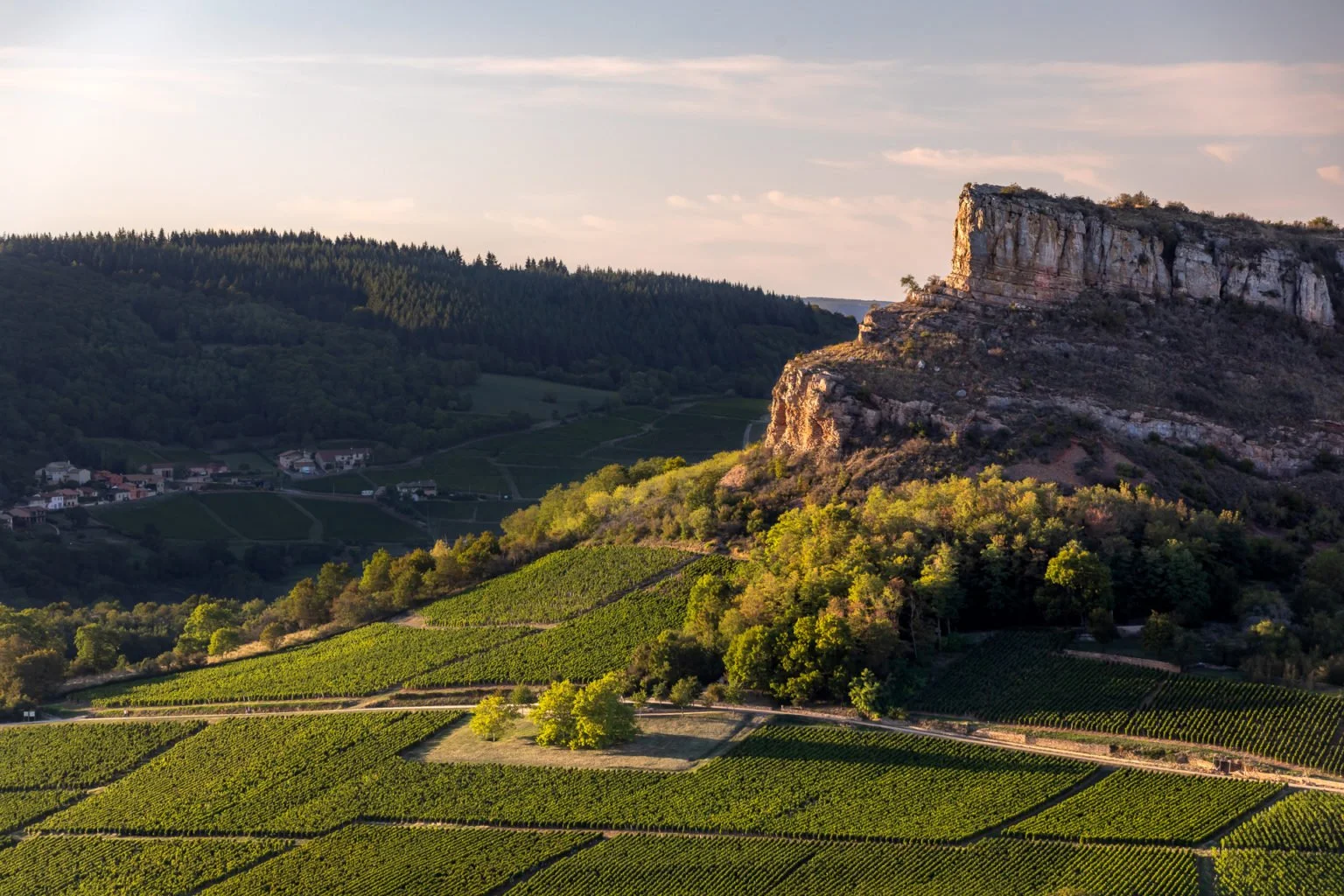 054_etienne-ramousse_collovray-et-terrier_vendanges_site-internet_2019-1536x1024.jpg