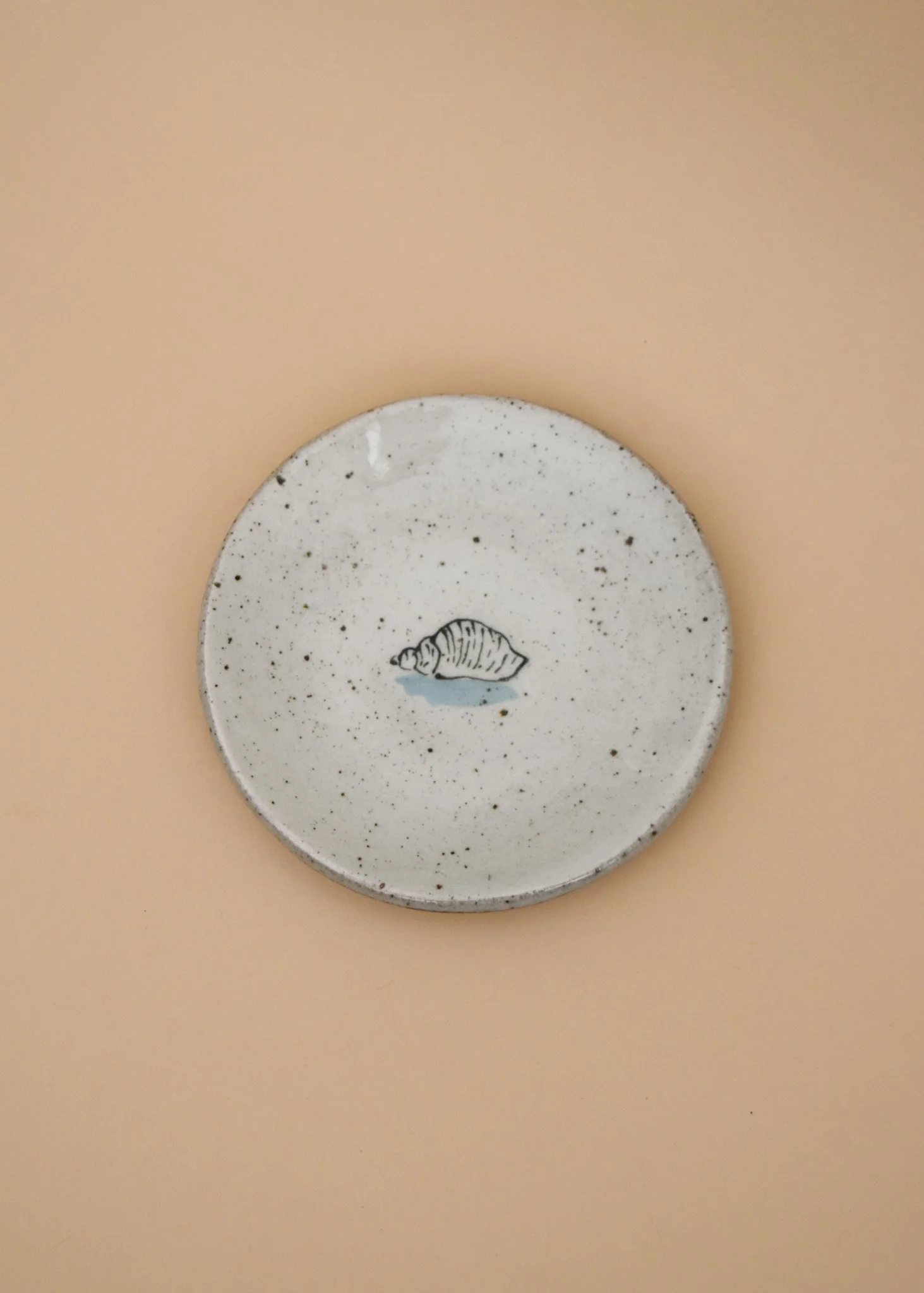 muddy-things-5-inch-plate-seashell-3.jpg