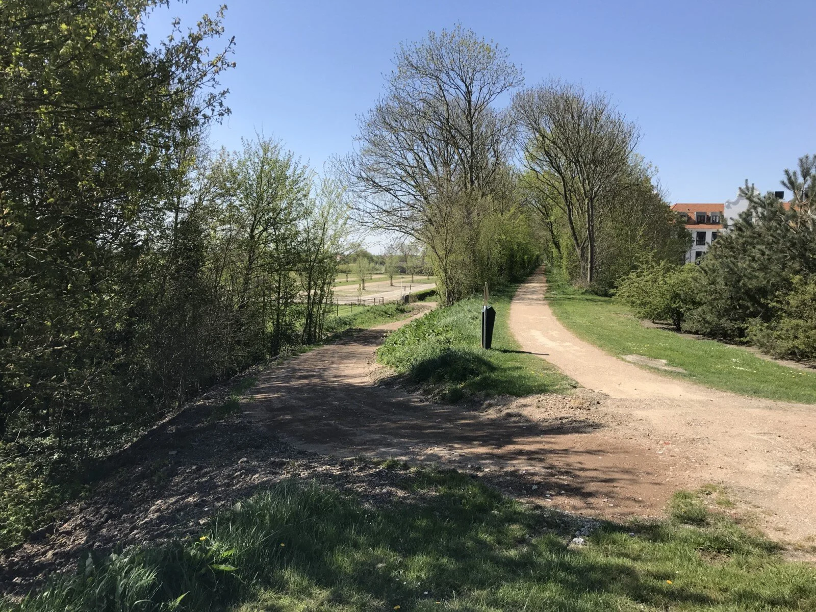 IMG_3833 [1600x1200].JPG