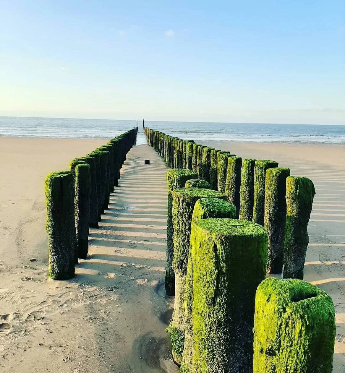 #breakwaters #golfbrekers #strand #cadzand #cadzandbad #cadzandlife #zwin #naturelovers #naturalgreen #seeweed #strandfotografie 
Repost 📷 @zeelandpicture. Thanks for sharing this awesome photo!
