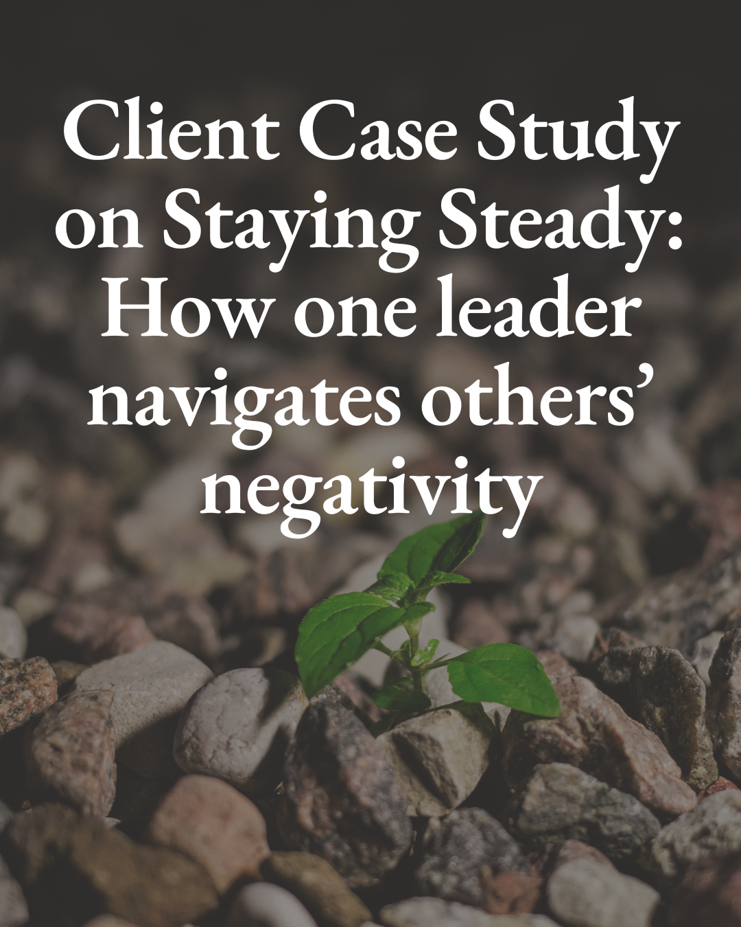 Client Case Study on Staying Steady: How one leader navigates others’ negativity