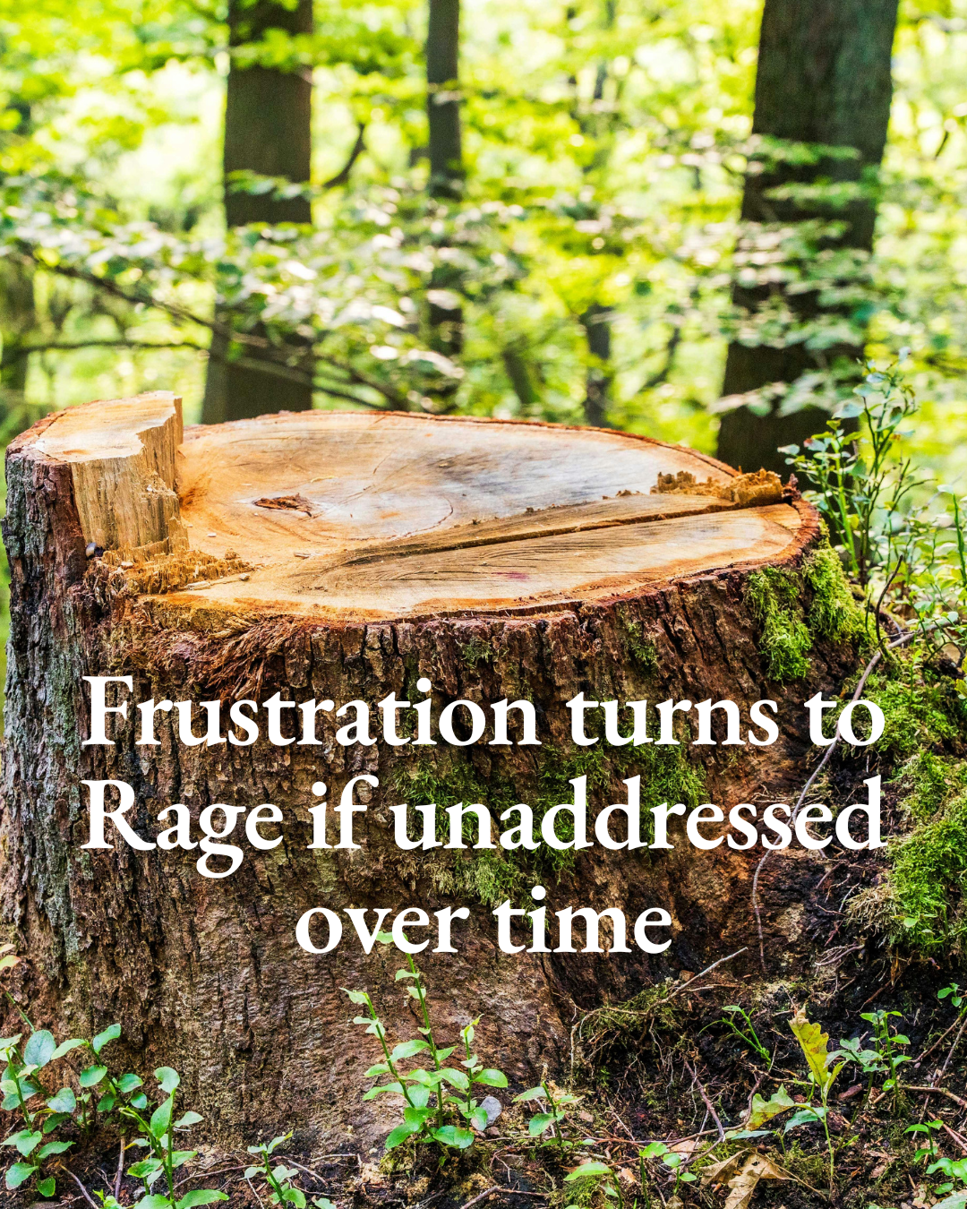 Frustration turns to Rage if unaddressed over time