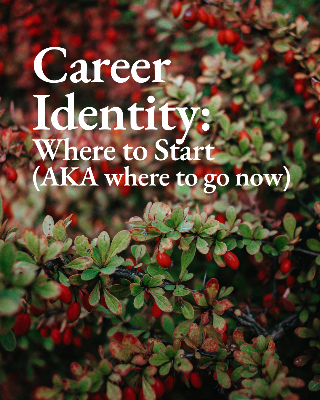 Career Identity: Where to Start (AKA where to go now)