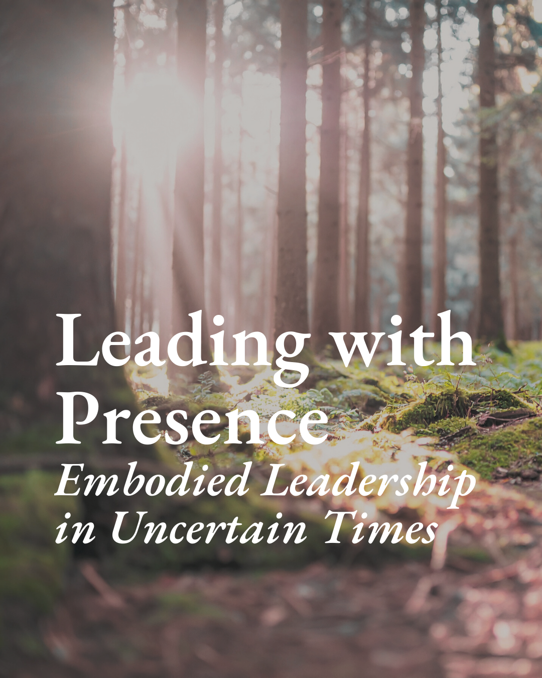 Leading with Presence: New Program Announcement