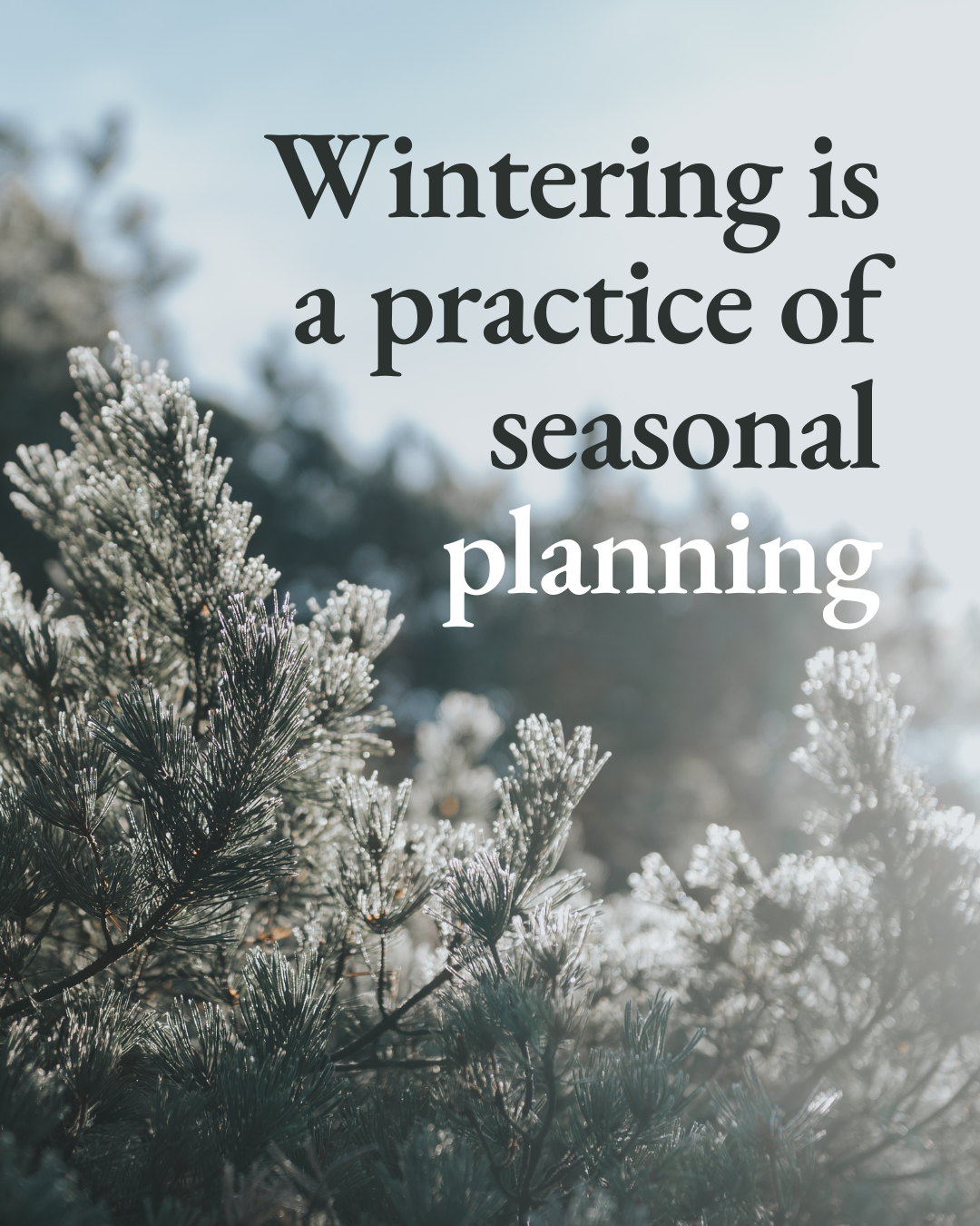 Wintering is a practice of seasonal planning