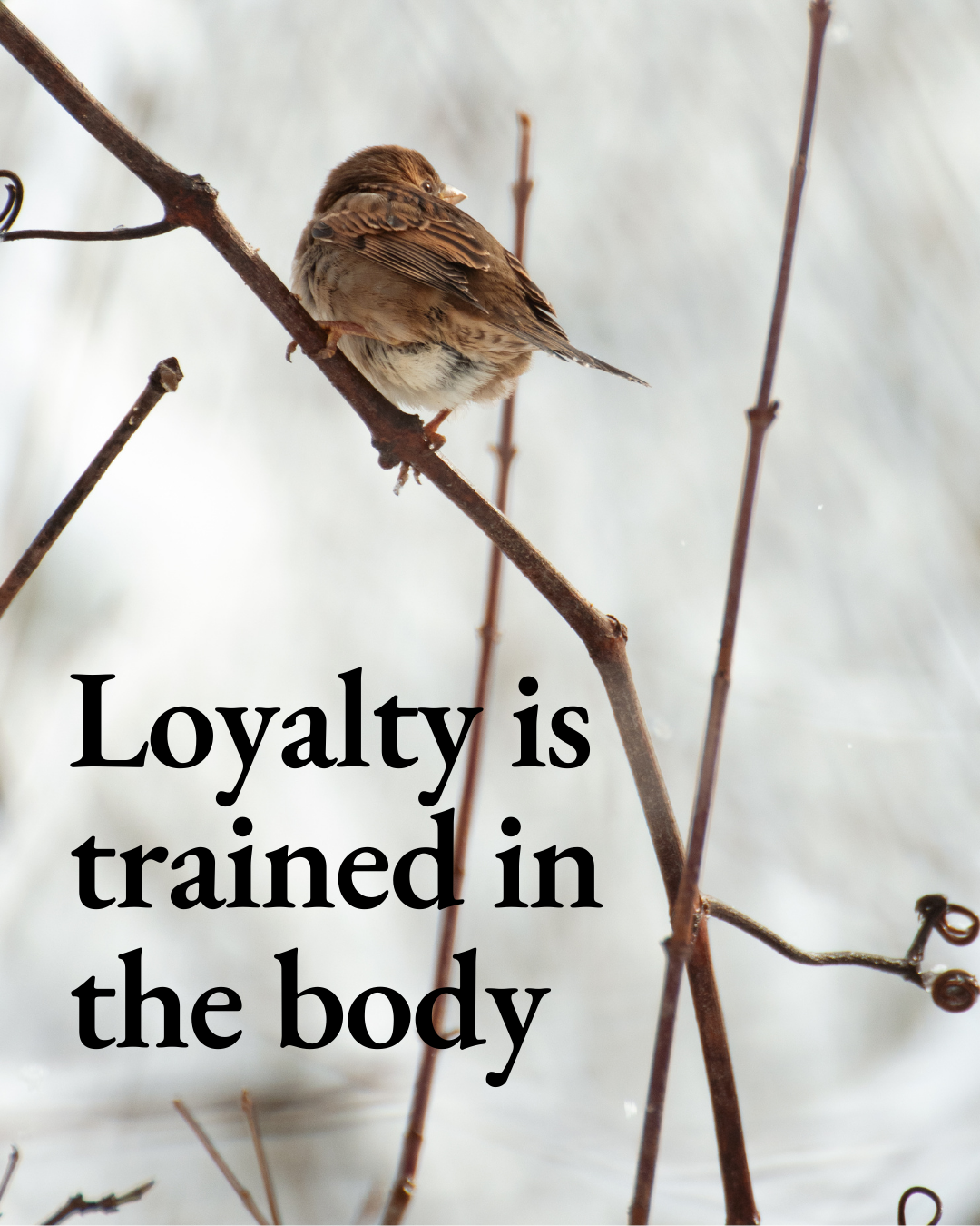 Loyalty is trained in the body